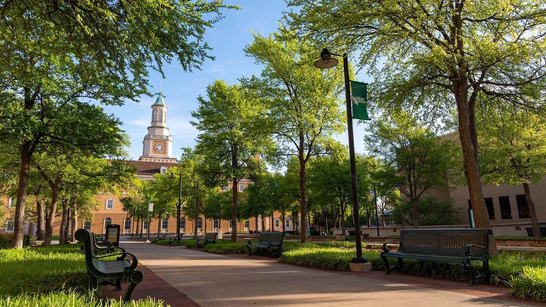 A park with benches, trees, and a lamppost, overlooking a historic building with a clock tower on a sunny day.