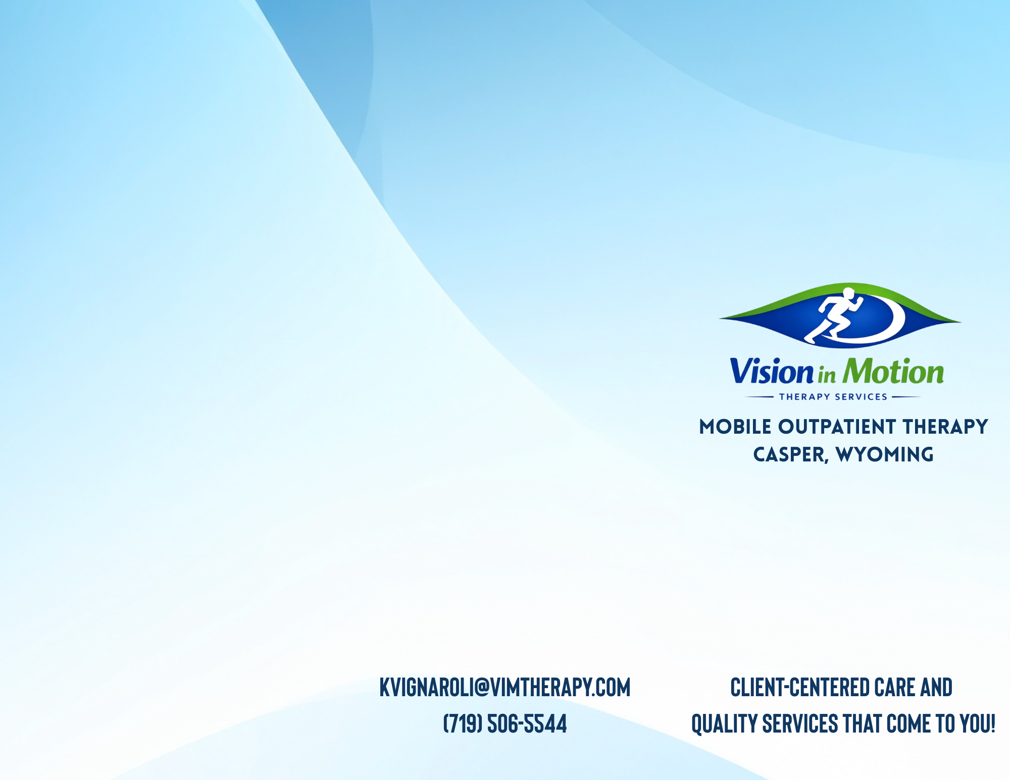 Vision in Motion Therapy LLC (Brochure)