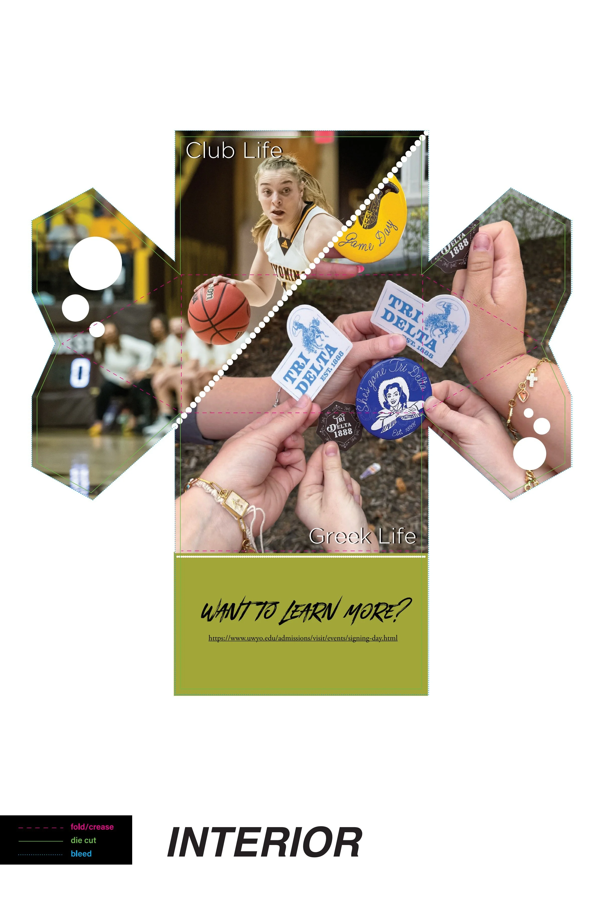 Dieline UWYO Boxes First Version.pdf-page8of8.jpg