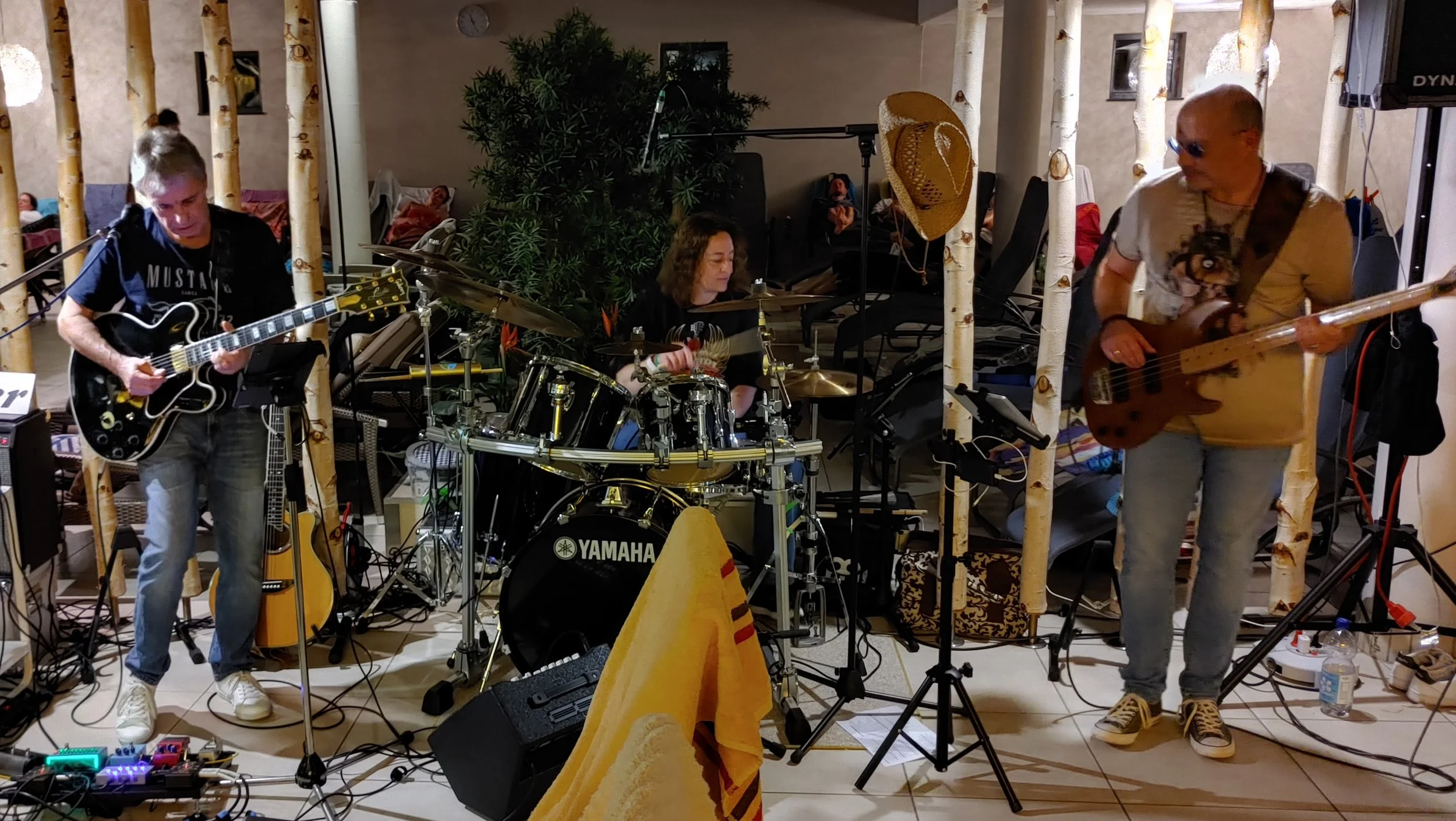 Musiker spielen in einer Band auf einer Bühne mit einem Schlagzeug, Gitarren und Bass, umgeben von Birkenstämmen, während im Hintergrund Menschen auf Liegen entspannen.