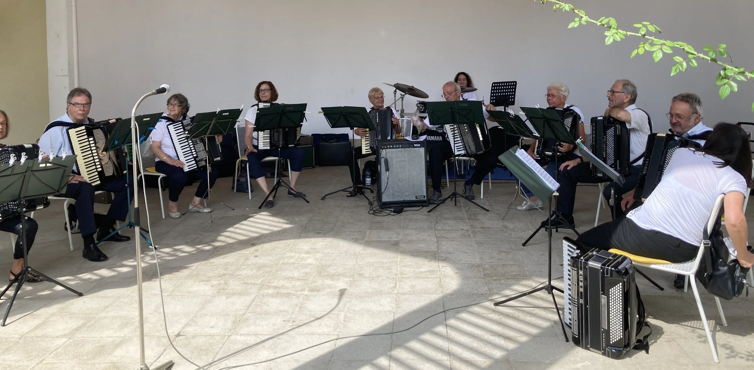 Gruppe von Musikerinnen und Musikern, die Akkordeon spielen, sitzen auf Stühlen in einem Raum mit weißer Wand im Hintergrund, einige haben Notenständer vor sich. Sie spielen einen öffentlichen Auftritt.