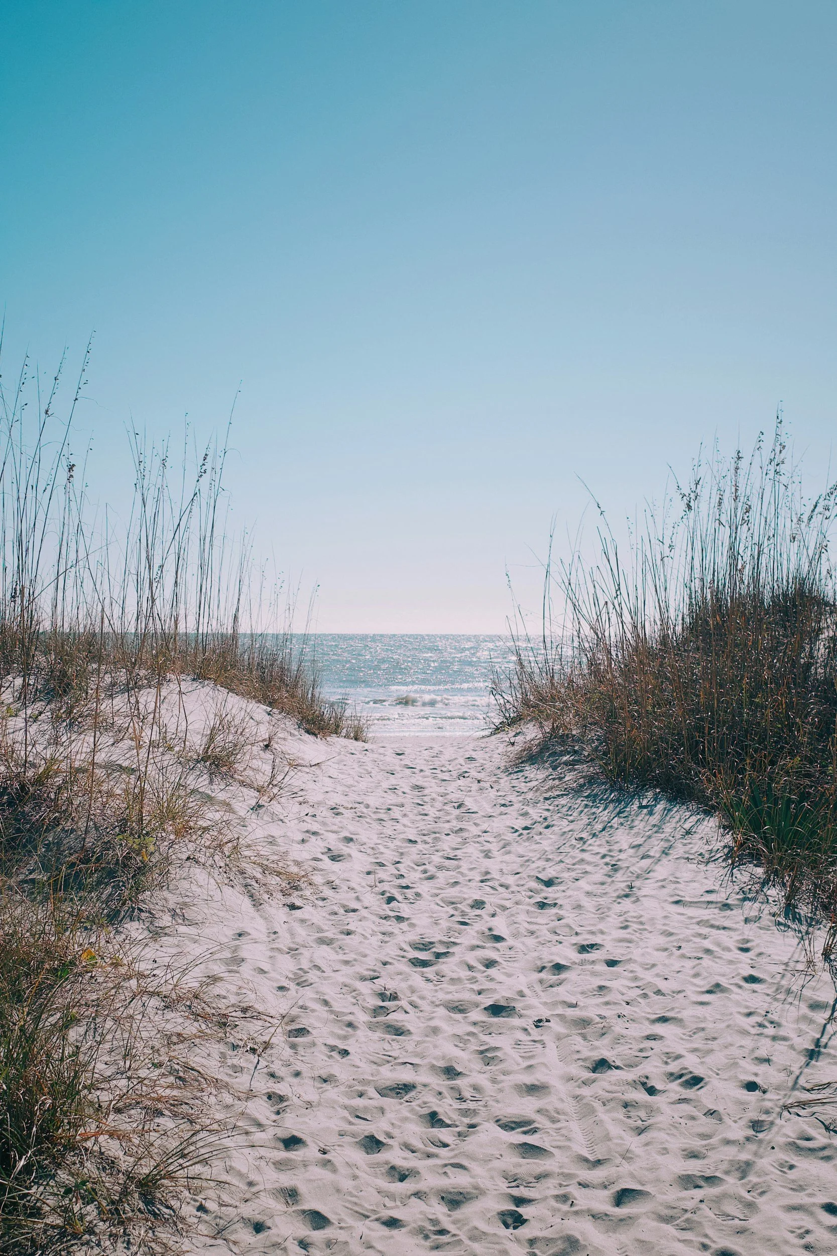 A sandy beach path leading to the ocean, framed by tall grass and dunes under a clear blue sky.