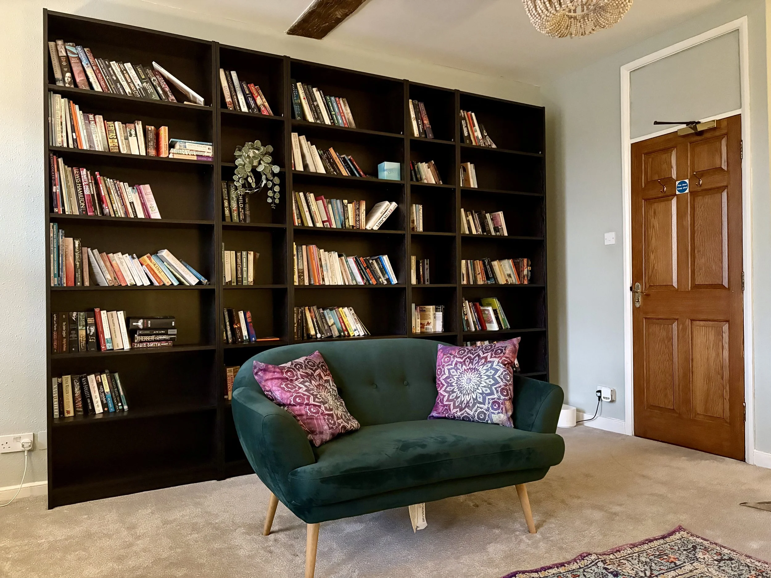 An example therapy room with a black bookshelf filled with books and a green velvet armchair with purple patterned pillows in front of it. There is a wooden door on the right side of the image.