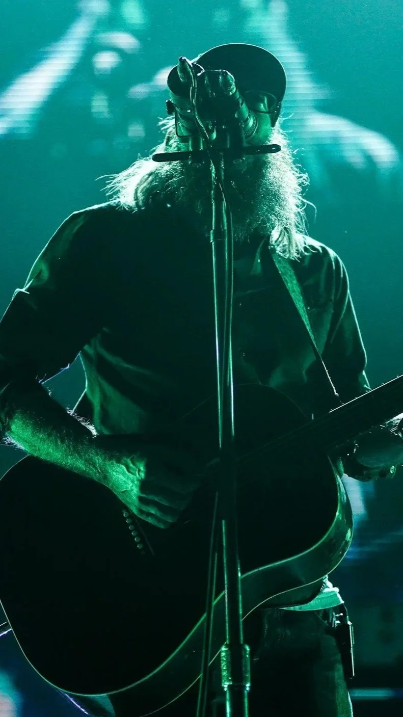 Musician with long hair and beard playing an acoustic guitar on stage, illuminated by green stage lights.