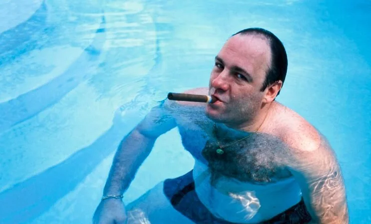 James Gandolfini's Estate Paid an Estimated 55% in Estate Tax. Here's Why, and How to Avoid It. — Free to Roam cross-border tax and residency guide