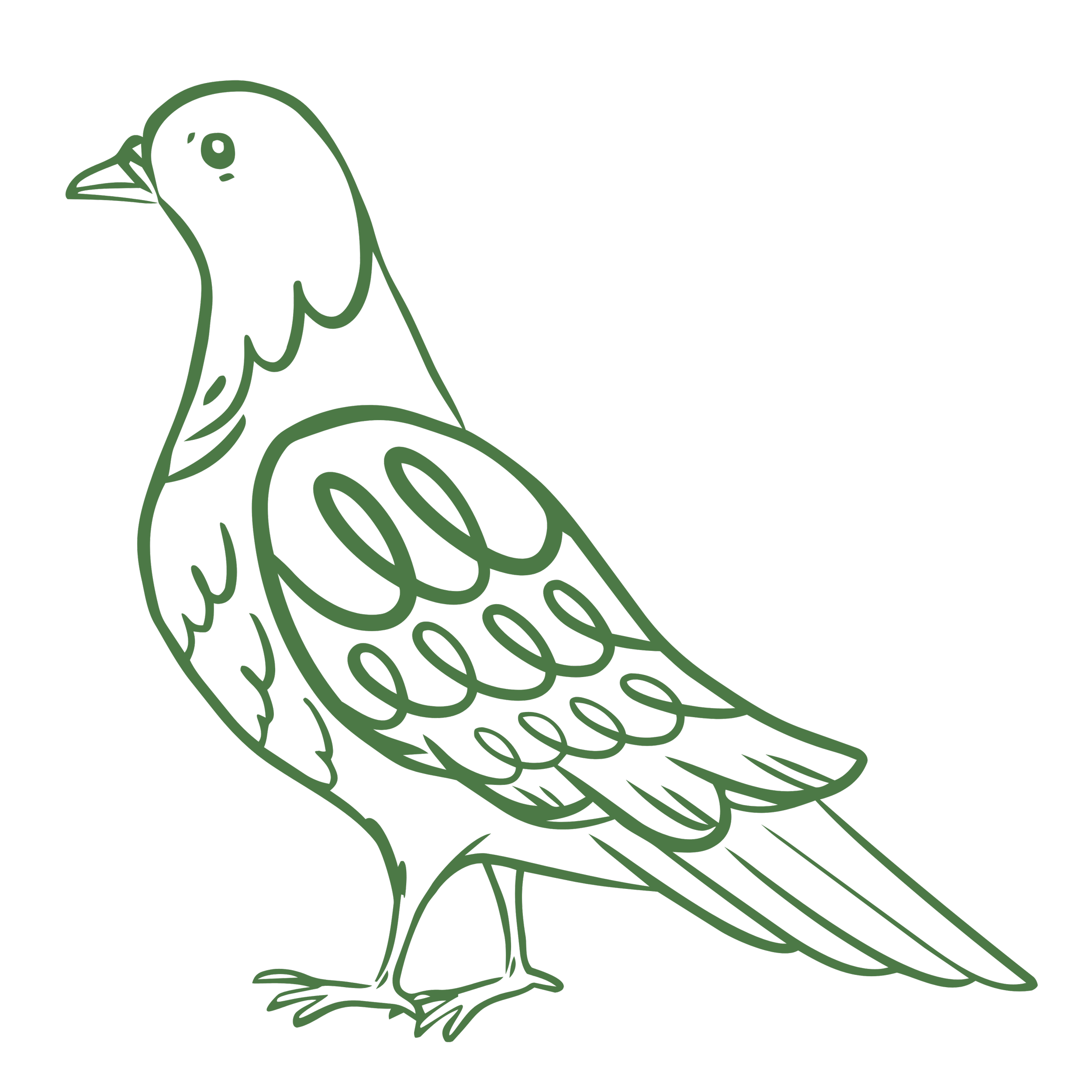 Outline drawing of a dove on a black background.