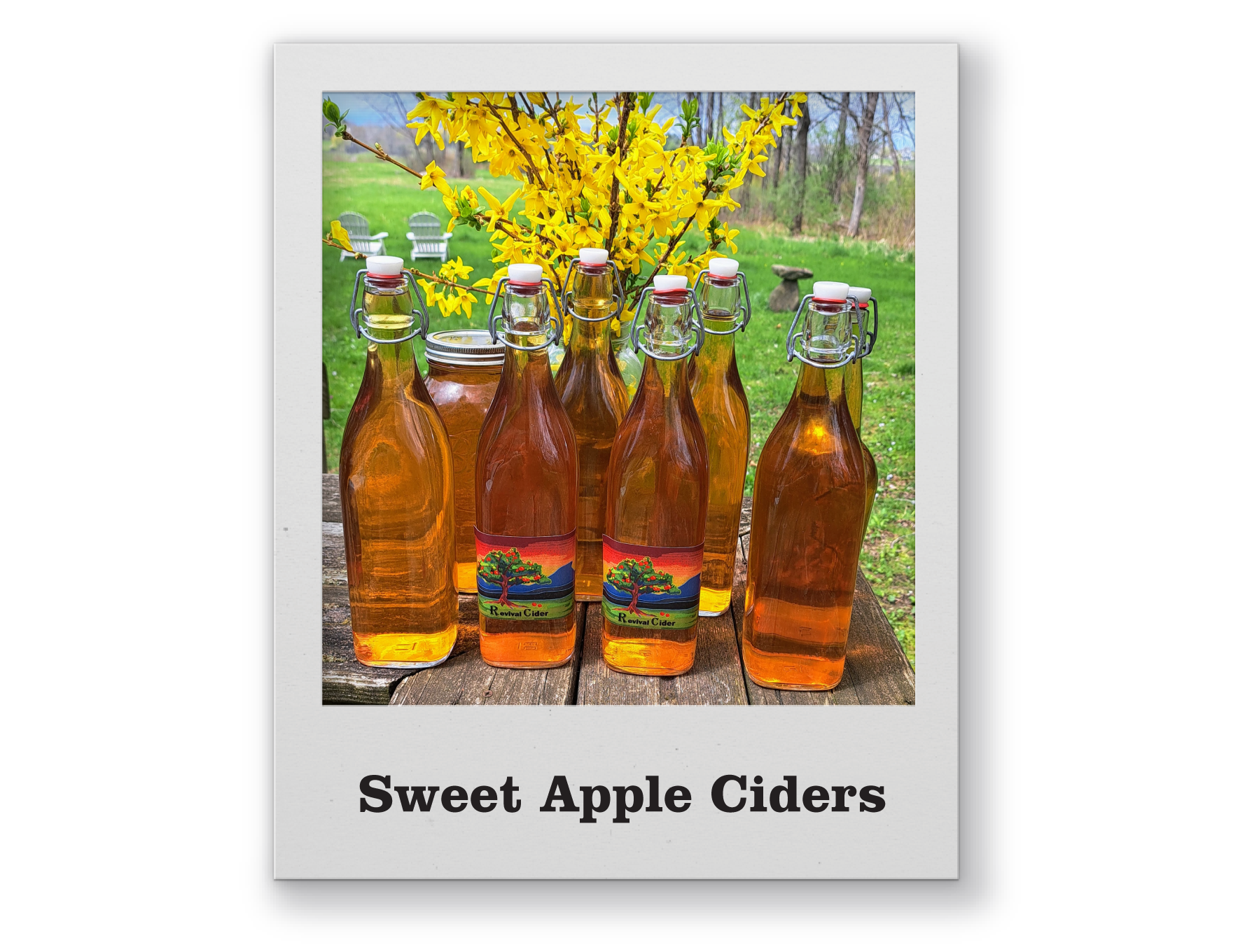 sweet apple ciders@4x.png