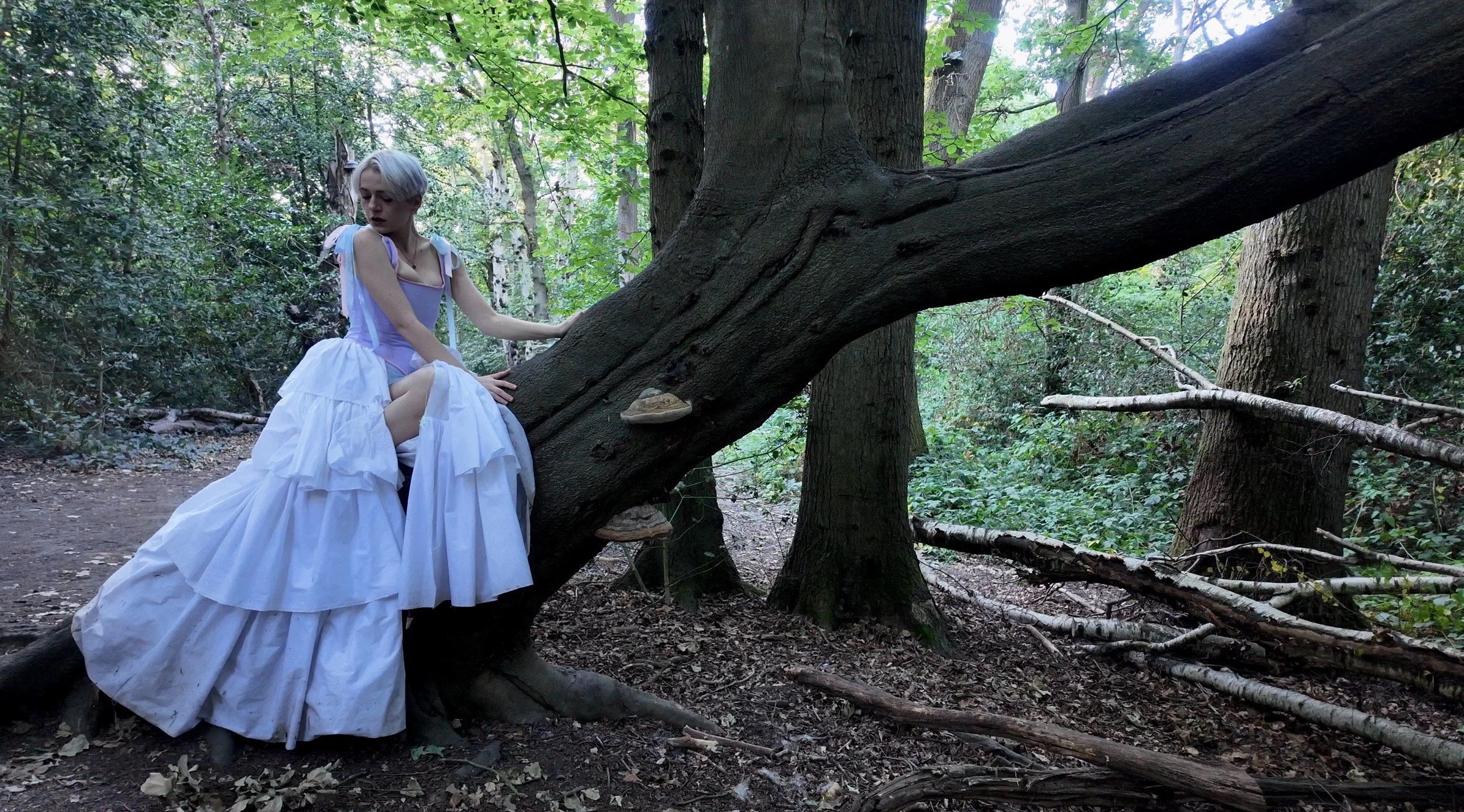A trans man with short platinum blonde hair wearing a purple and white gown is sitting on a large, fallen tree trunk in a dense forest, surrounded by green trees and branches.