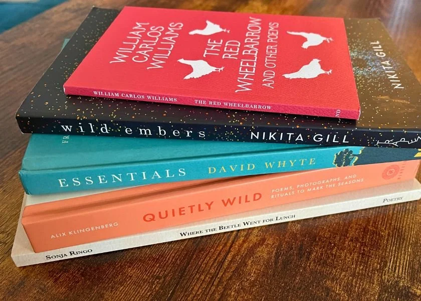 The curious remedy of reading poetry