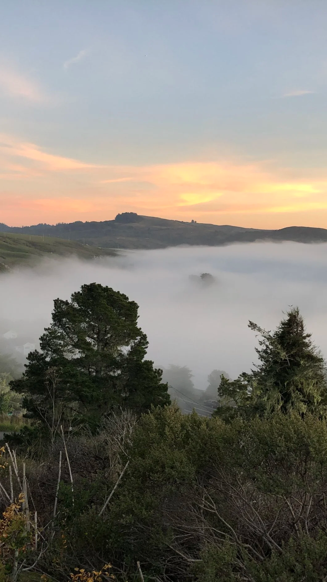 Landscape scene above Jenner at sunset with green trees in the foreground, fog covering the lower part, rolling hills in the background, and a colorful sunrise or sunset sky with light clouds.
