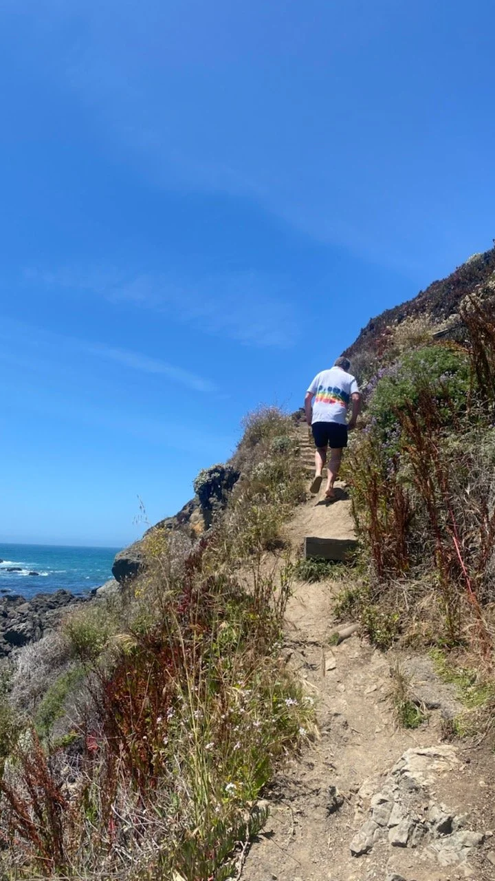 A person hiking uphill along the pacific coast in Goat Rock State Park along a rocky cliffside with the Pacific Ocean visible in the background under a blue sky.