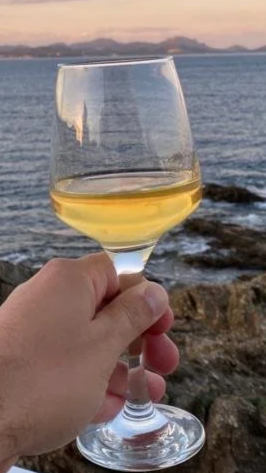 A hand holding a glass of white wine with a seascape background showing rocks, water, and distant land at sunset.