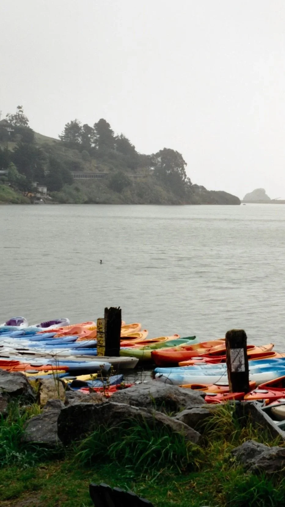 Colorful kayaks docked along a rocky shoreline next to the Russian River, with a distant tree-covered hillside under an overcast sky.