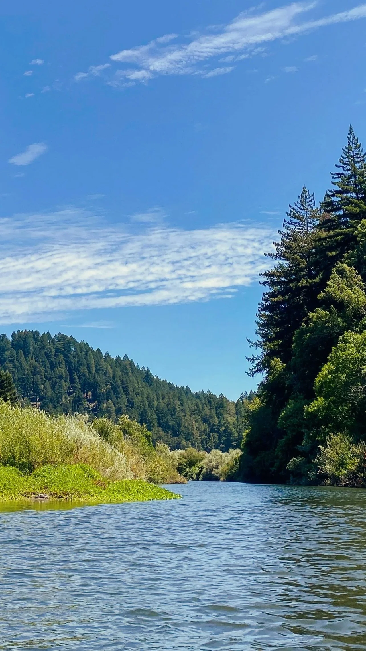 A scenic view of the Russian River flowing through a forested area with a clear blue sky overhead and some clouds.