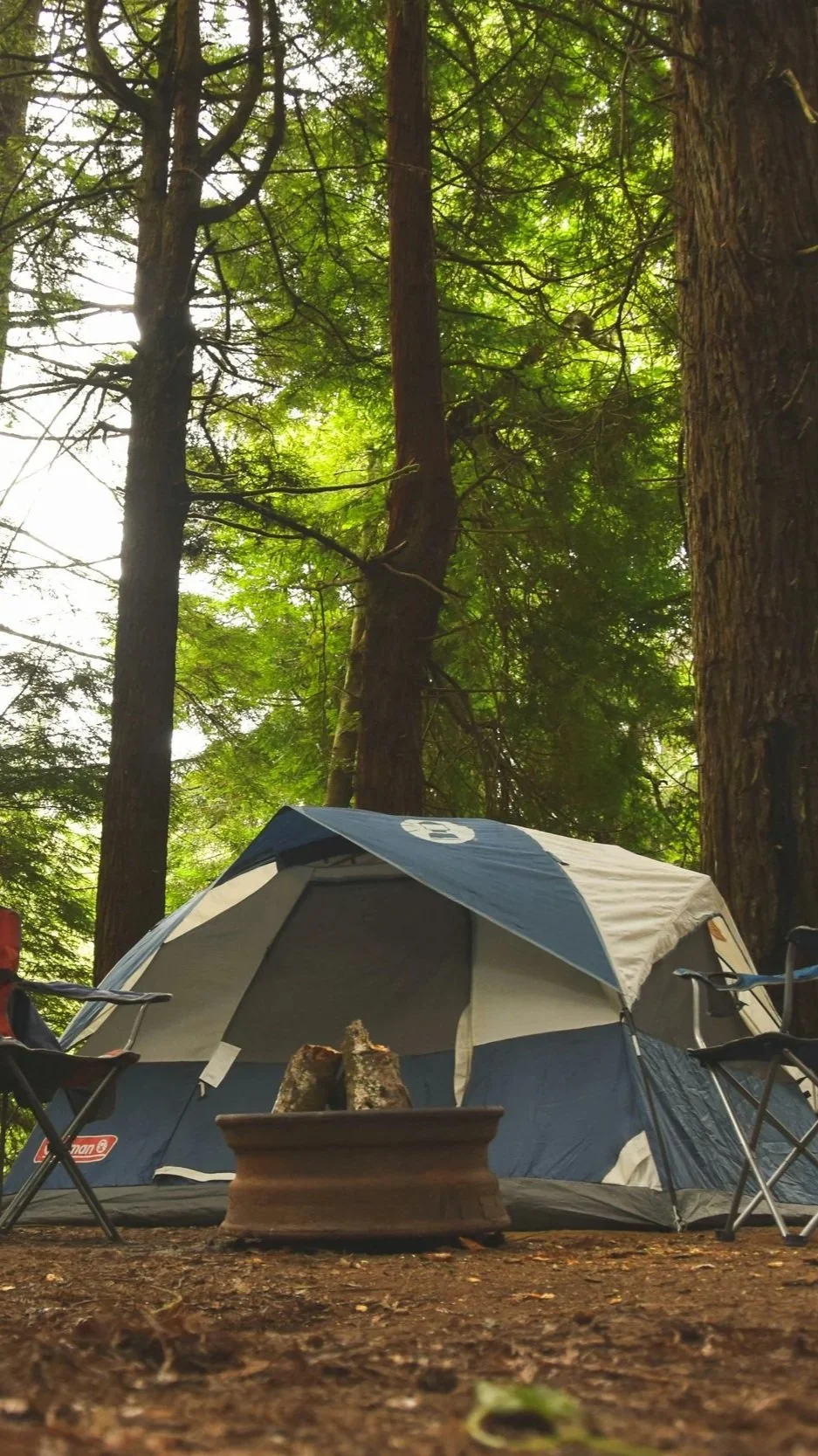 A camping scene in a forest with tall trees, a blue and white tent, camping chairs, and a small fire pit with logs, all surrounded by green foliage and sunlight filtering through the trees.