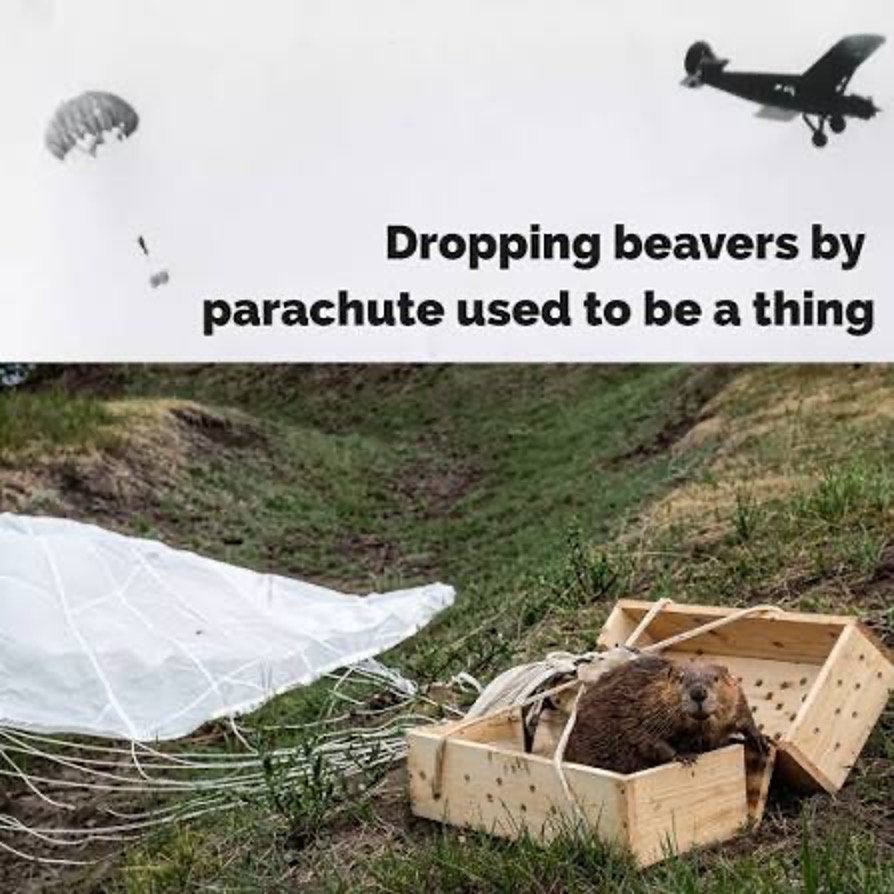 Operation Beaver Drop