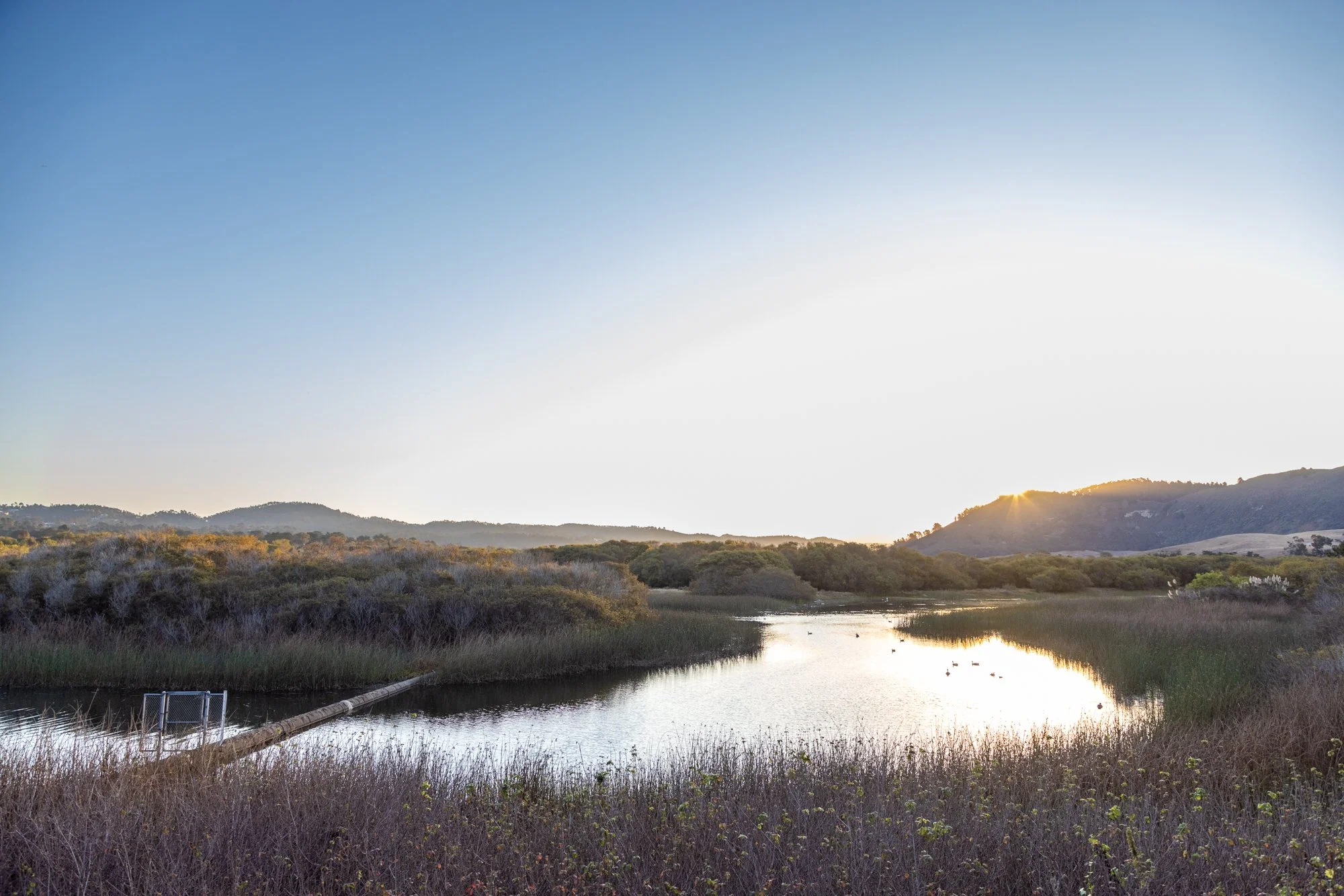 Sunset over hills and a marsh with water, trees, shrubs, and ducks, under a clear sky.