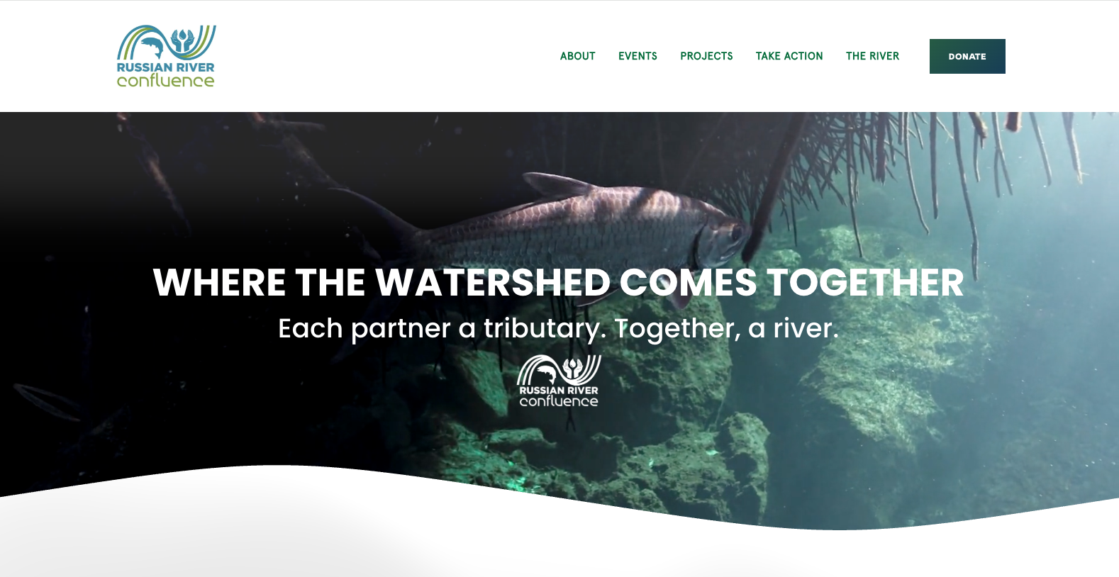 Screen grab of the Russian river website homepage