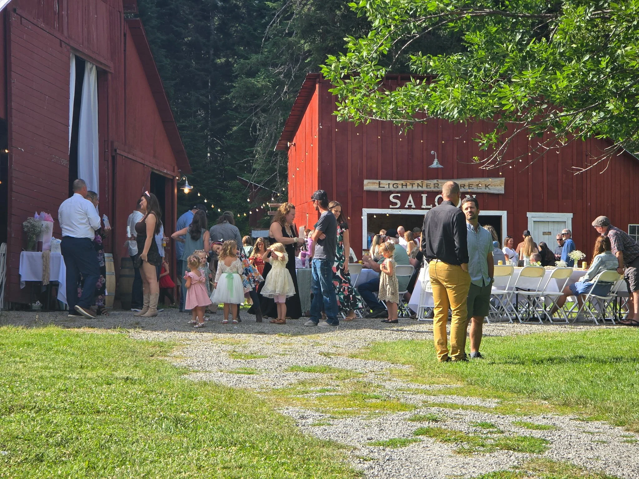 An outdoor gathering with people socializing in front of red barn buildings, surrounded by trees and string lights, in a sunny setting.