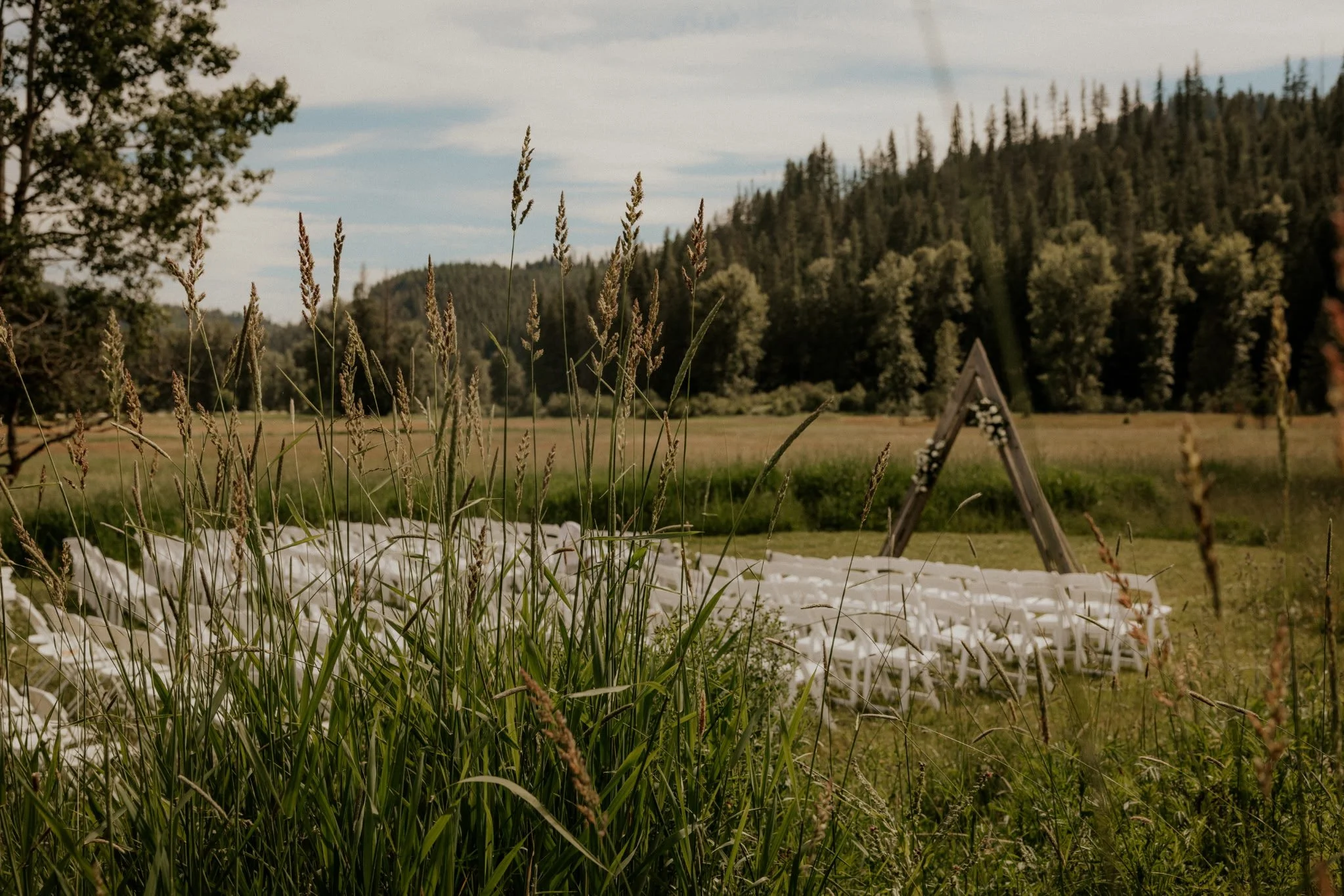 A grassy field with tall wildflowers in the foreground and a wooden triangle-shaped structure in the background, with forested hills and a cloudy sky.