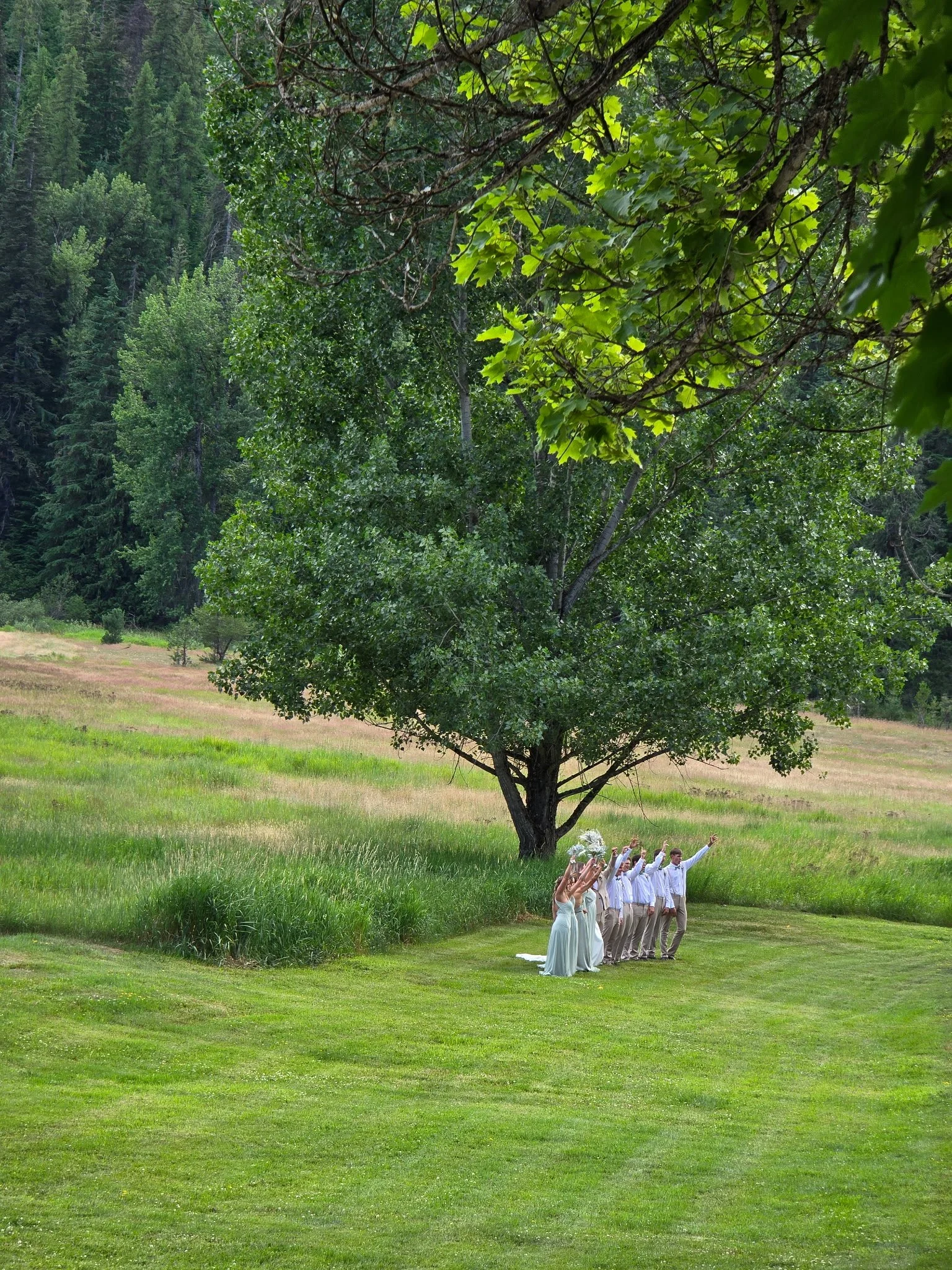 A wedding ceremony taking place outdoors beneath a large tree in a green field. The bride and groom, along with bridesmaids and groomsmen, are standing in a line, raising their right hands in a salute or pledge. The scene is surrounded by lush greene