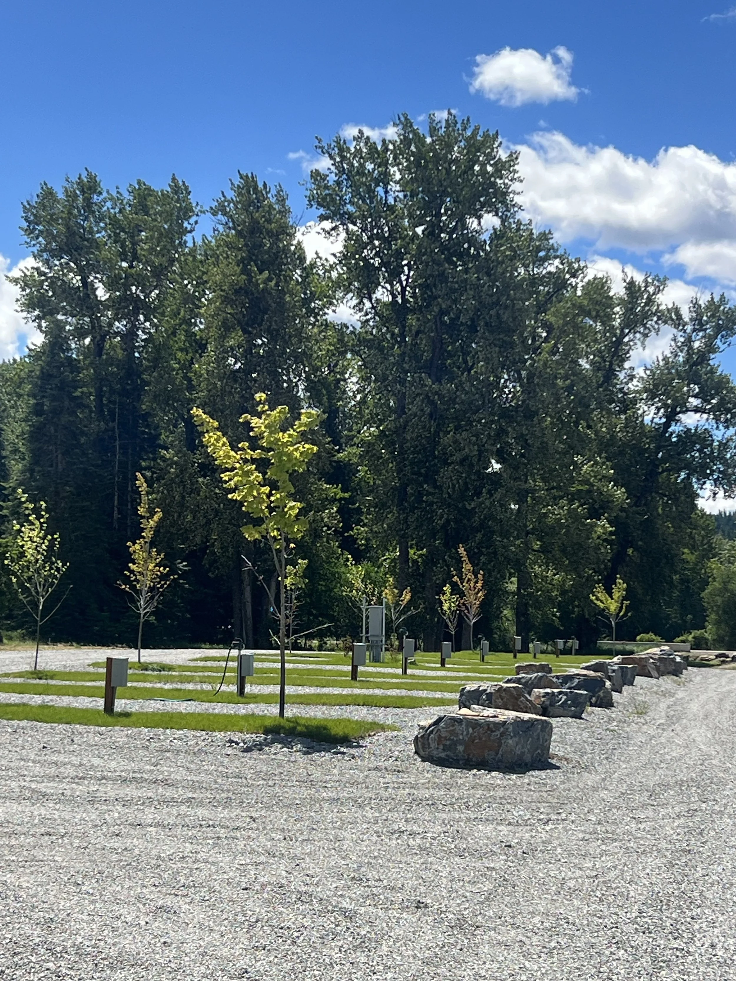 A park scene with large trees, a blue sky with white clouds, and a gravel pathway lined with small trees, rocks, and wooden posts.