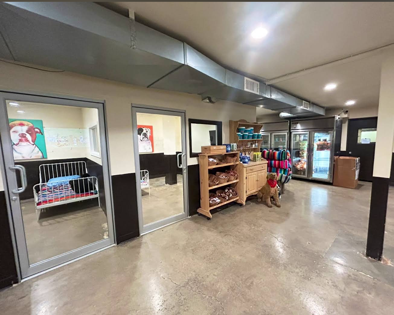 Interior of a pet store with glass rooms on the left, pet beds, a wooden shelf with pet supplies, a colorful dog bed, and a stuffed dog toy in the center. Refrigerated section is visible in the background.