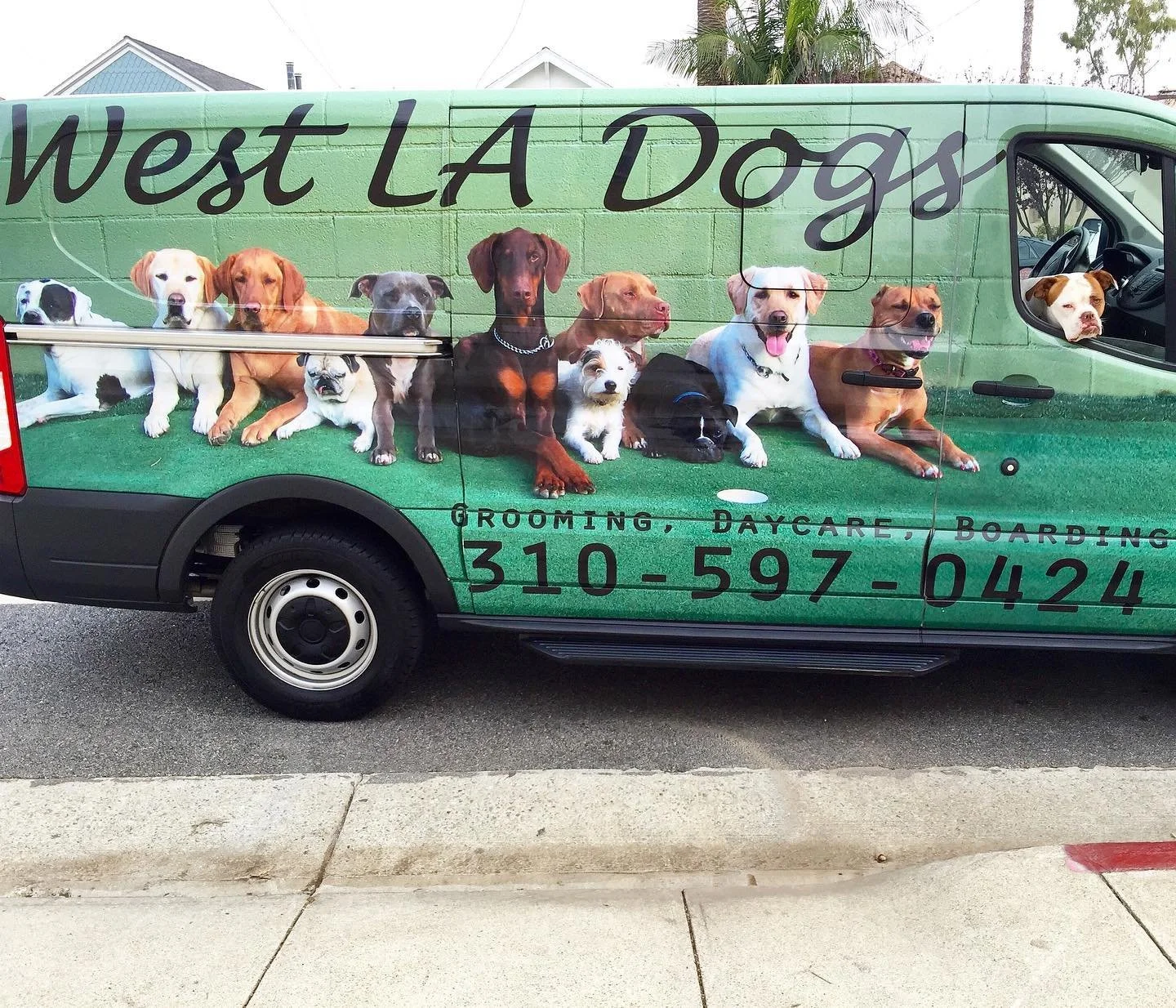 A green van featuring an advertisement for a pet grooming, daycare, and boarding service called West LA Dogs. The van has images of various dogs sitting on a green grass background along with the business's phone number 310-597-0424.