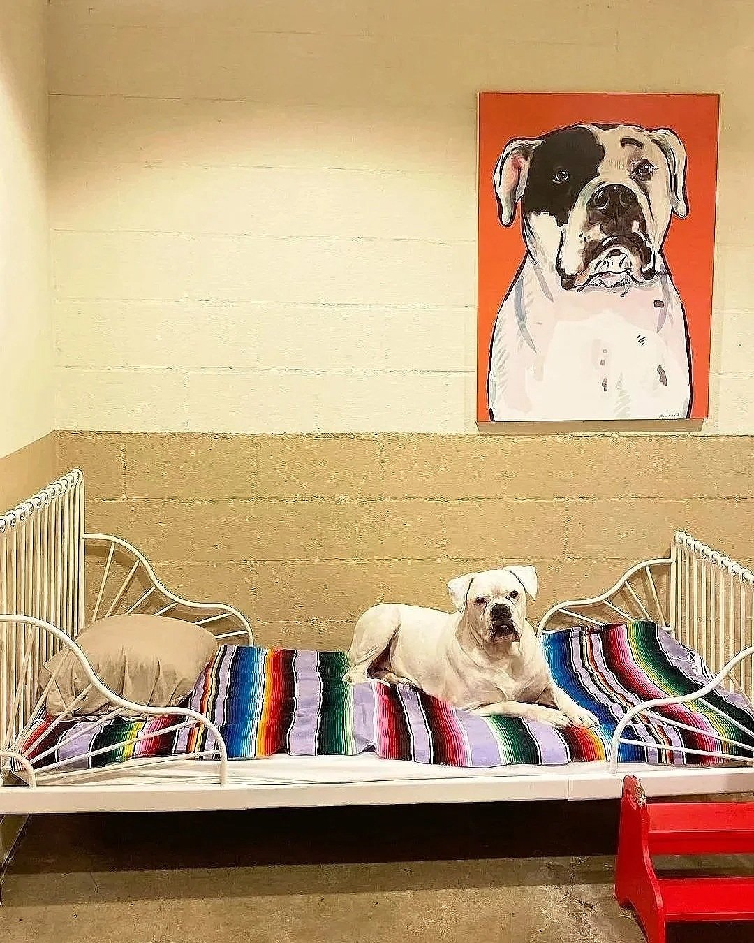 A white dog lying on a metal bed with a colorful blanket and a pillow, in a room with a large painting of a dog on the wall.