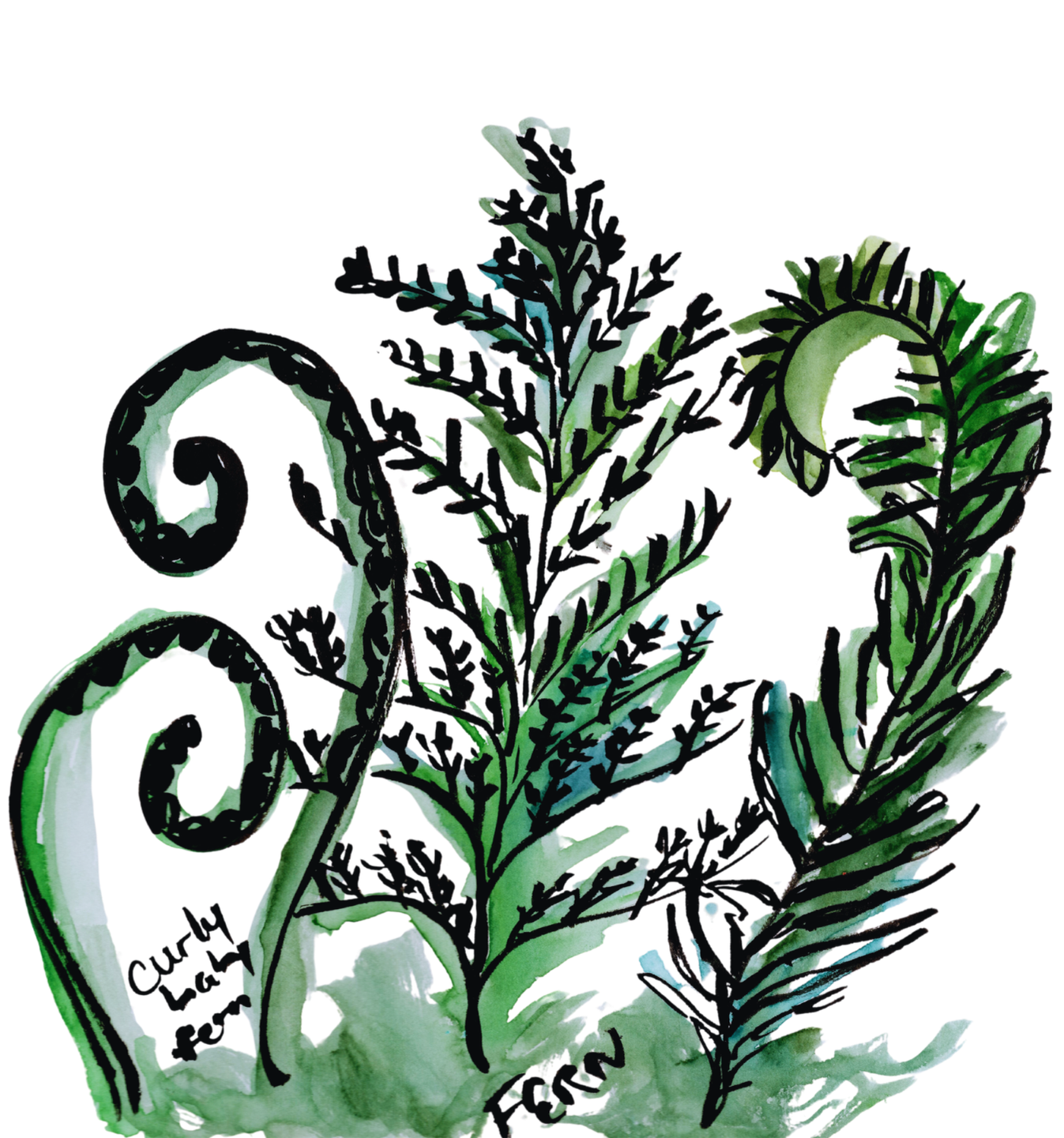 Snail Mail Art Club