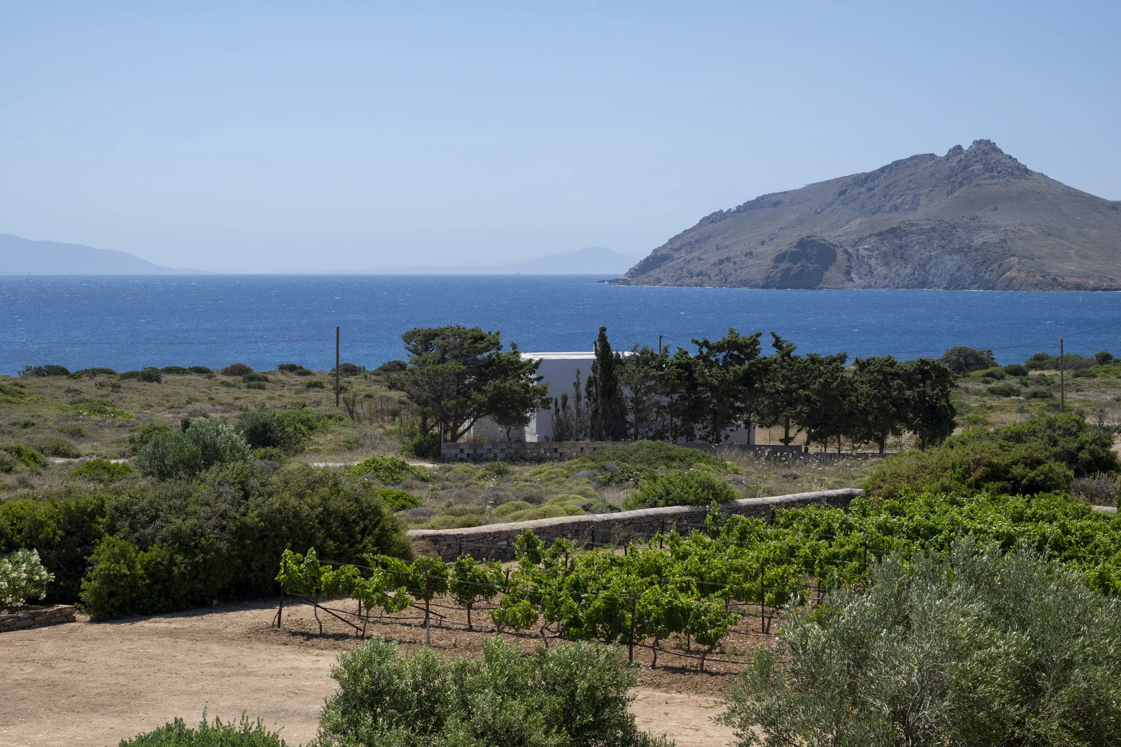 villa-kavouraki-paros-garden-vineyards-01.webp