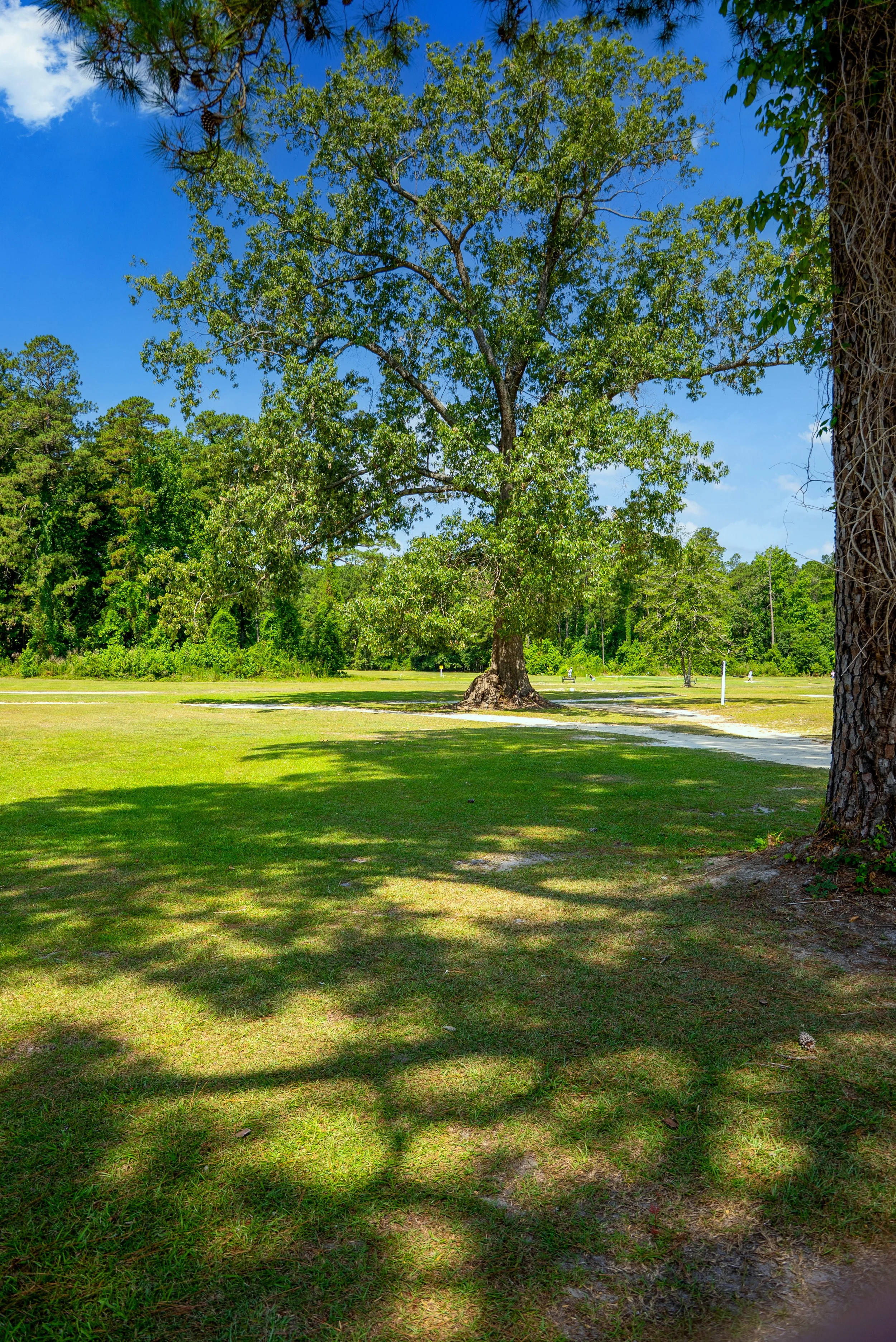 Riegelwood Golf Club 06-29 HiRes-81.jpg