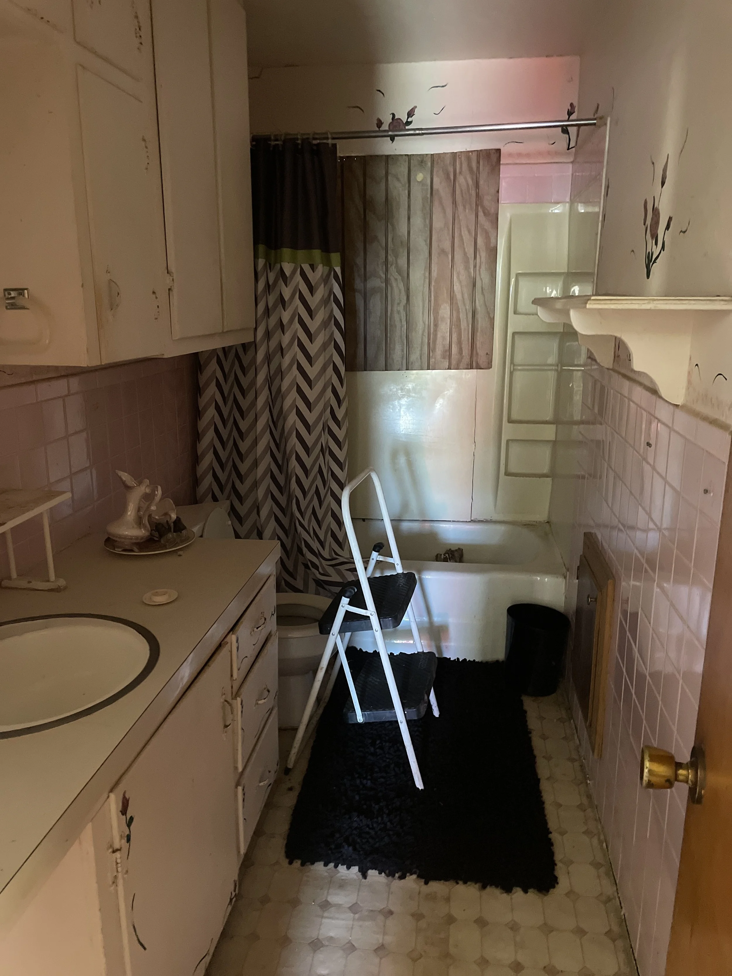 A small bathroom with a white sink, a white cabinet with floral decorations, a shower with brown curtains, a toilet, a black rug, a black trash can, a step ladder, and a closed door with a gold doorknob. The walls are decorated with painted birds and flowers.