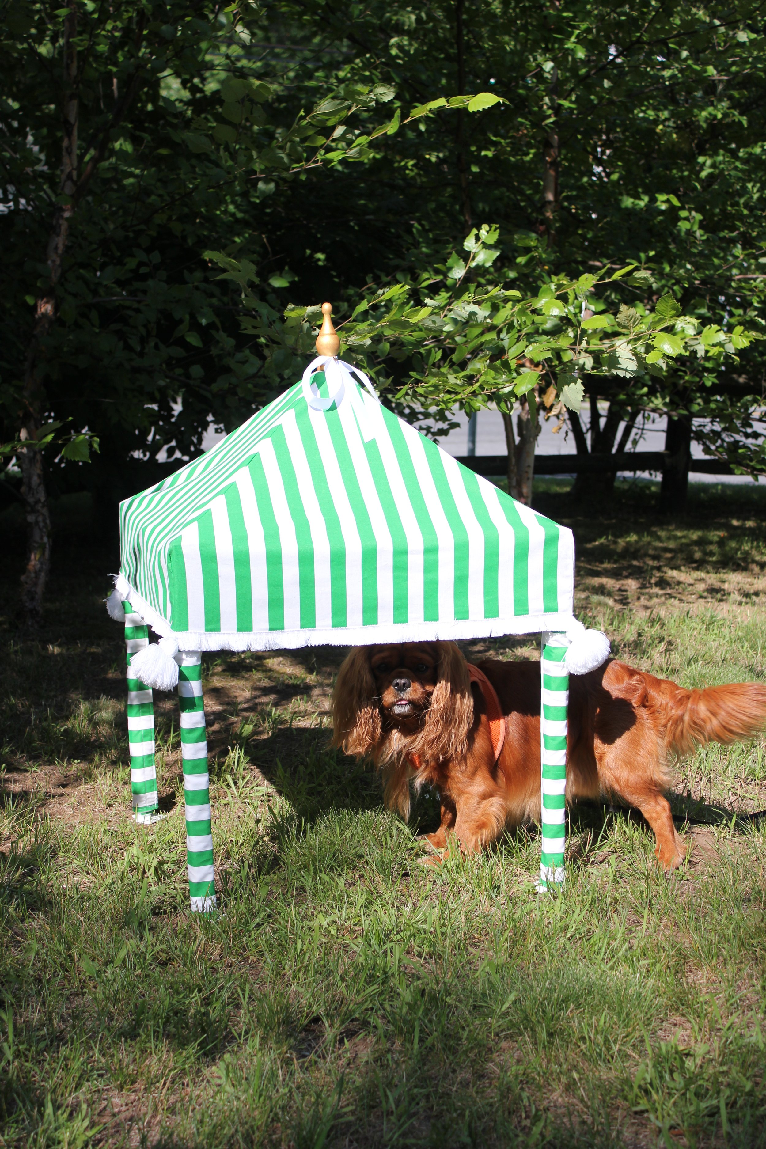 The Cabana Stripe Petite Pavilion