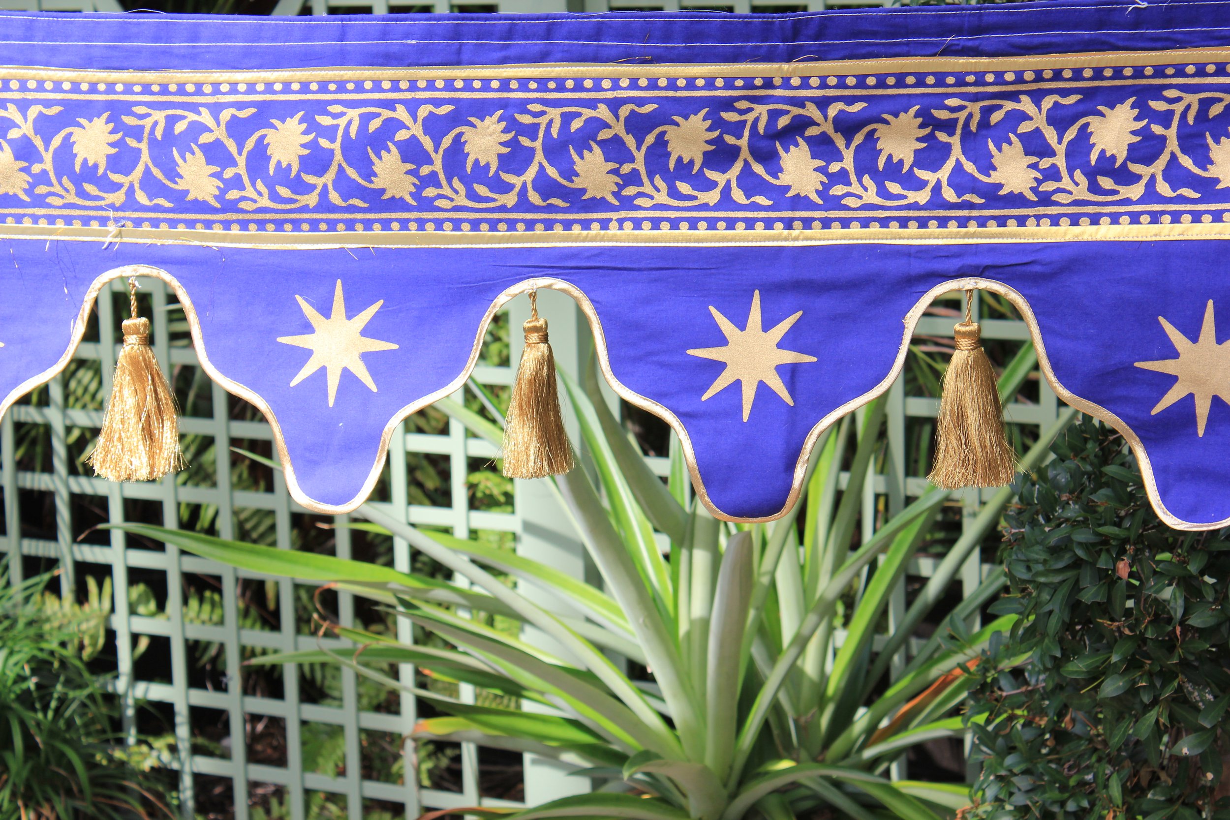 royal palm - midnight star 2.JPG