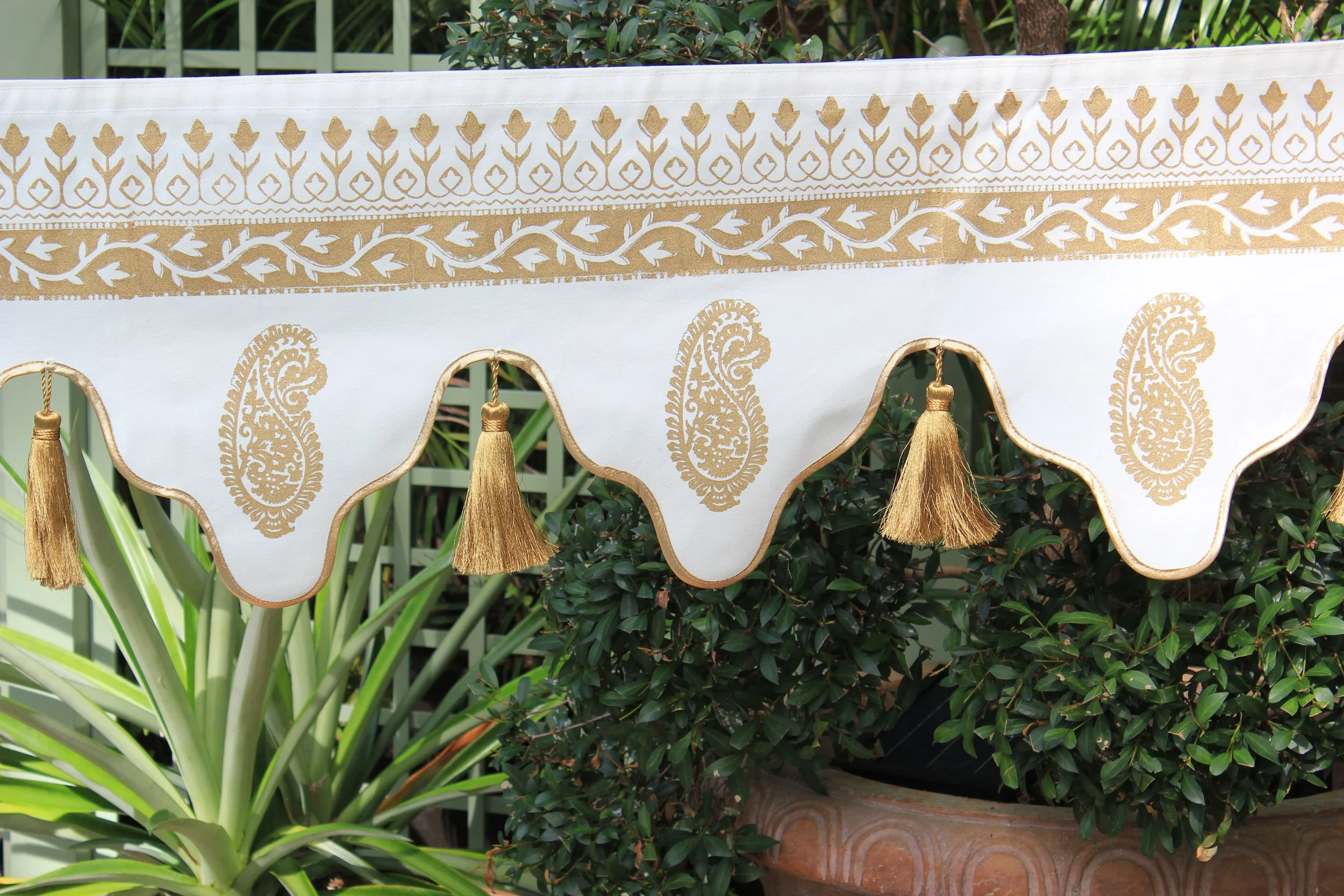 royal palm - mughal garden 2.JPG
