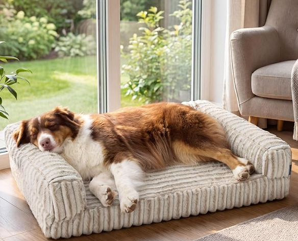 A brown and white dog sleeping on a plush, striped dog bed inside a house by a sliding glass door with a view of a garden.