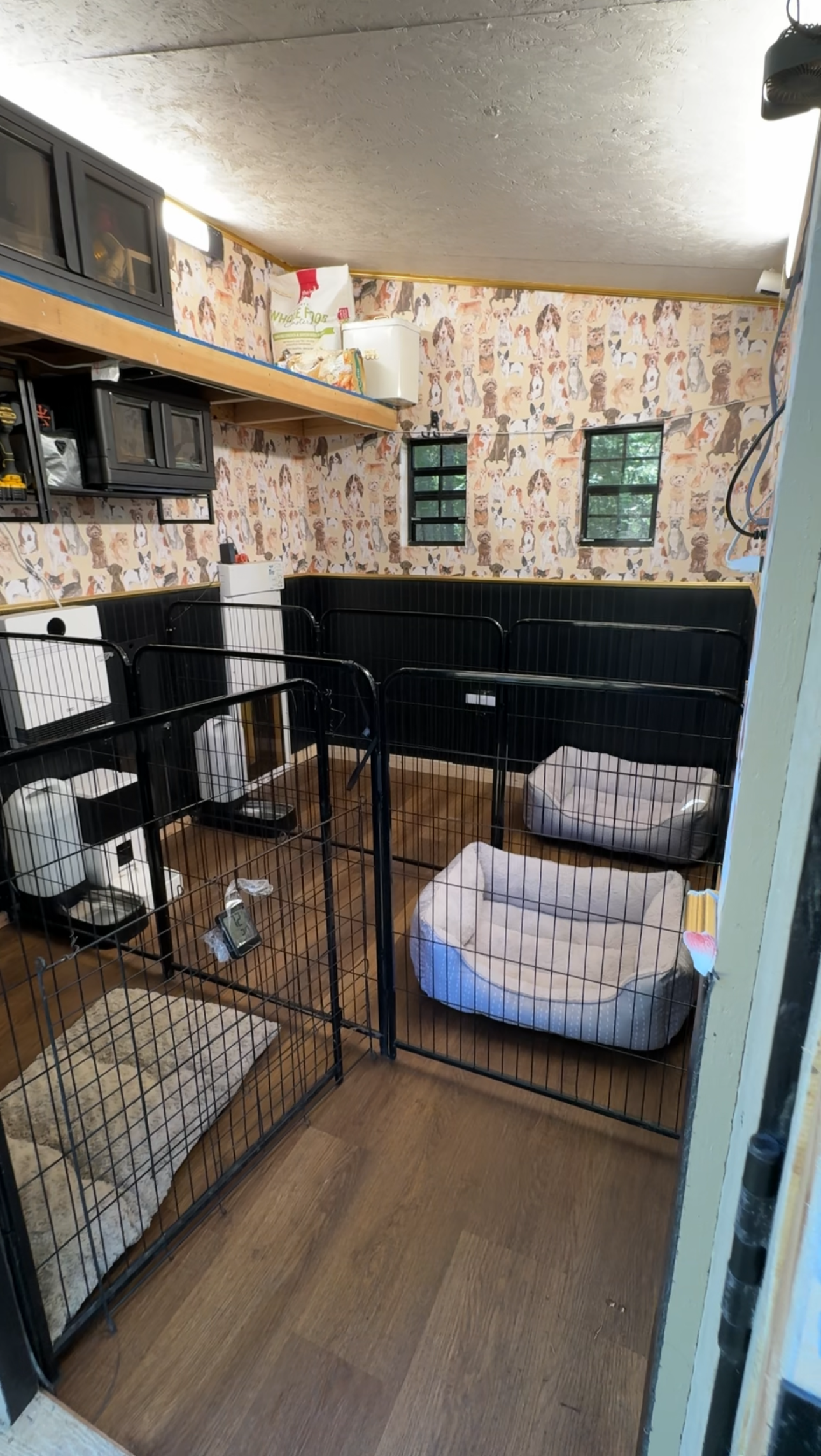 Room with wallpaper featuring dog illustrations, two small black windows, black metal pet cages with one containing a small pad and the other a fabric pet bed, a white space heater, and storage shelves on the wall with pet supplies.