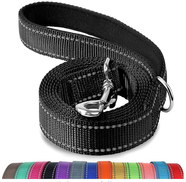 A black nylon dog leash with metal clip and rings, coiled, with a row of colorful similar leashes at the bottom.