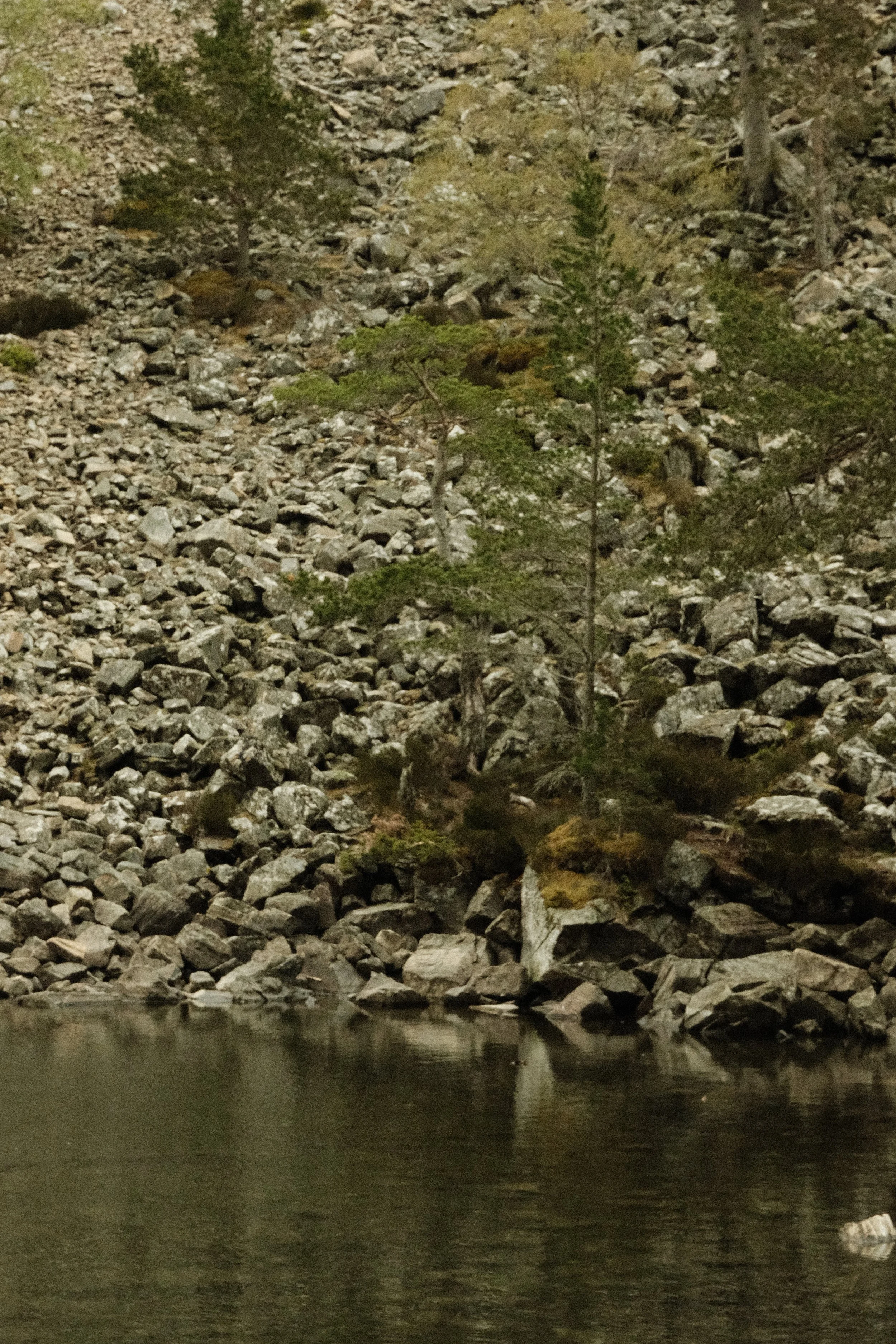 DSCF4302.jpg