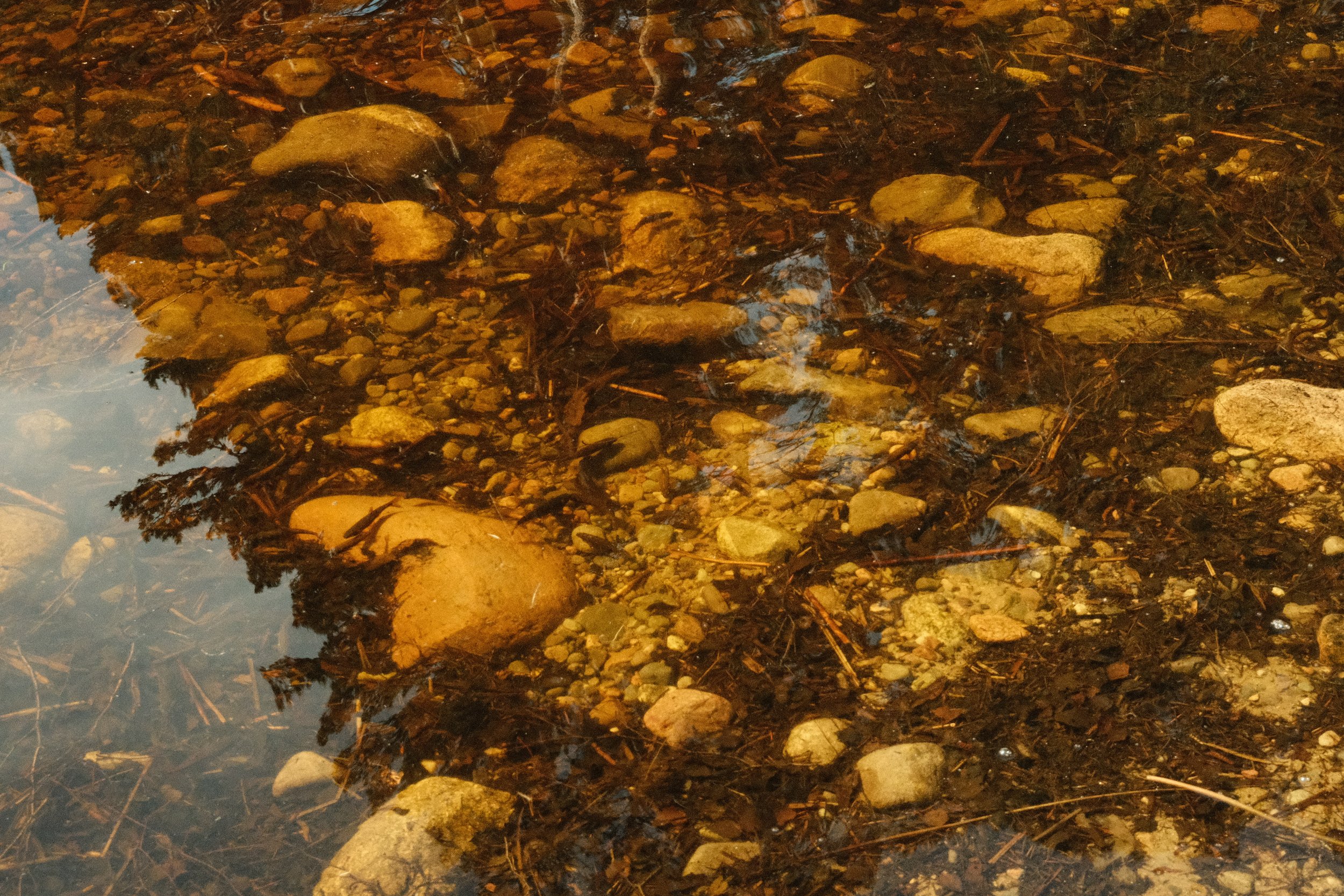 DSCF4134.JPG