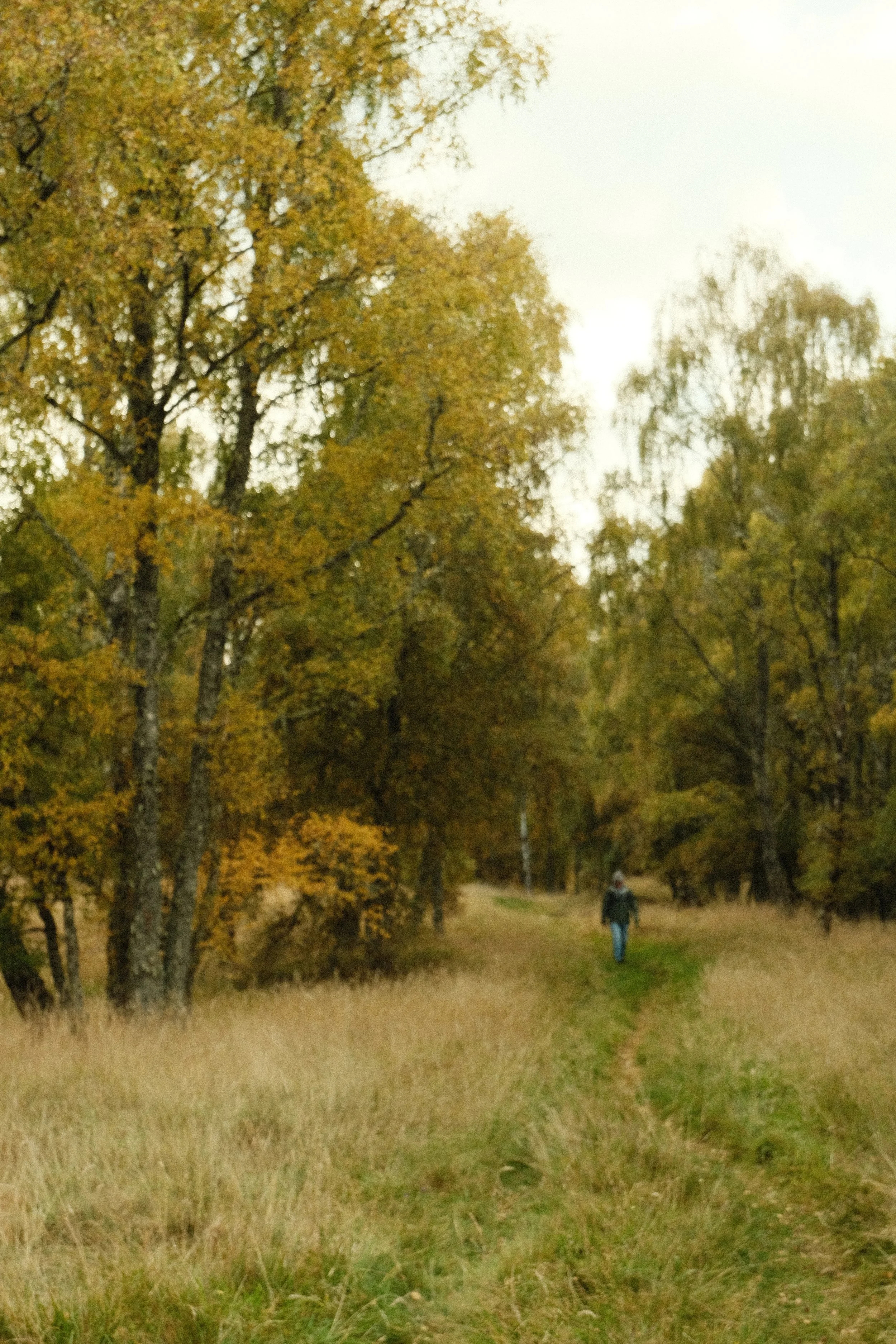 DSCF1370.JPG