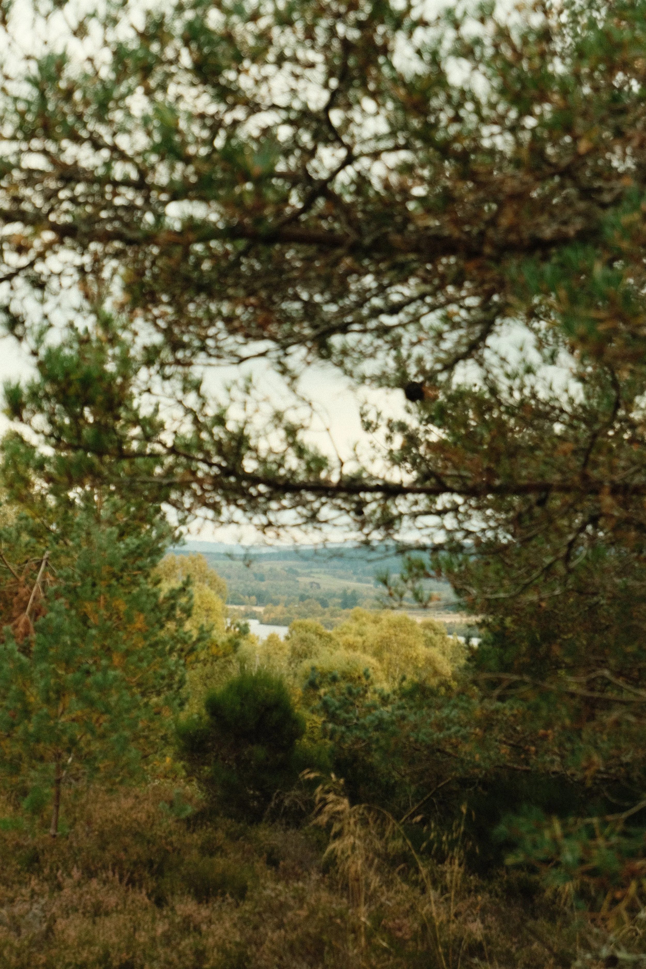 DSCF1327.JPG