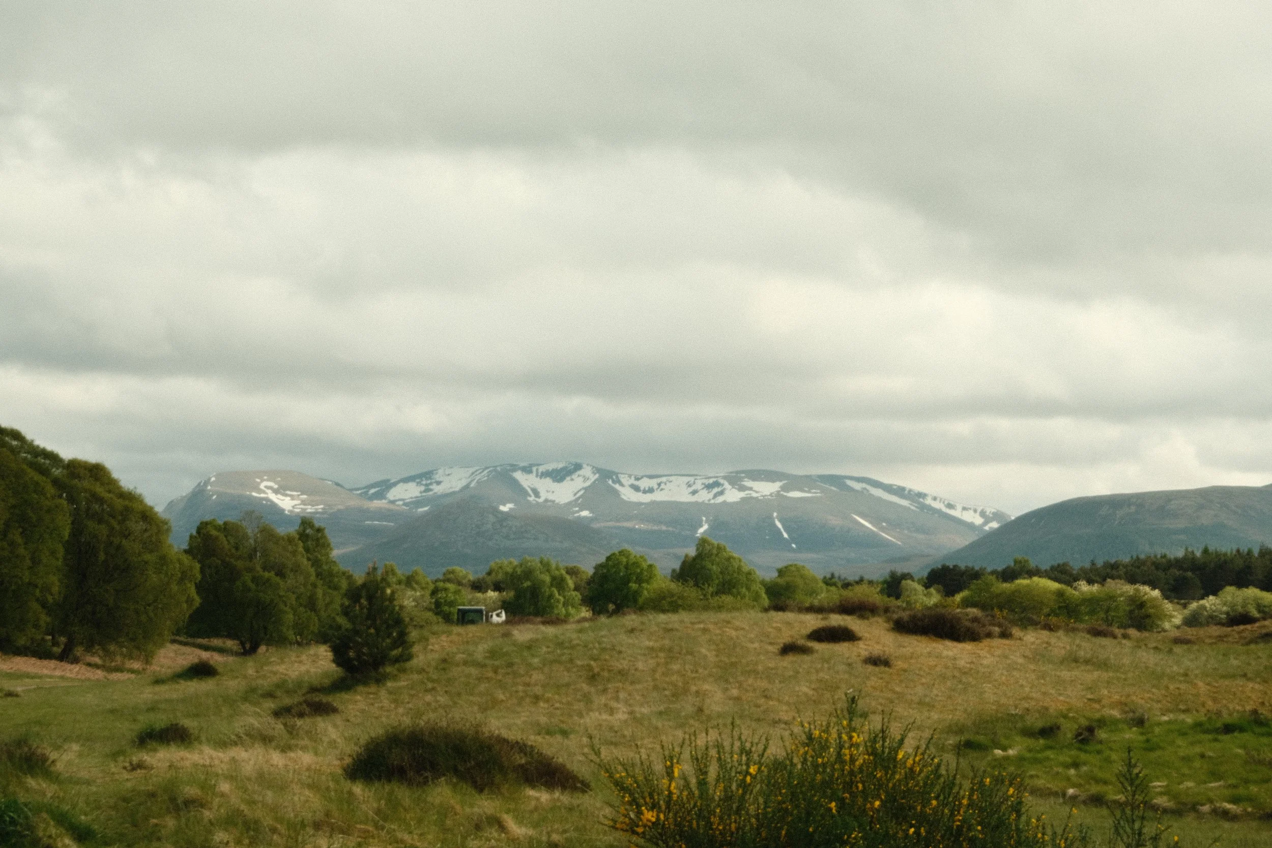 DSCF4409.JPG