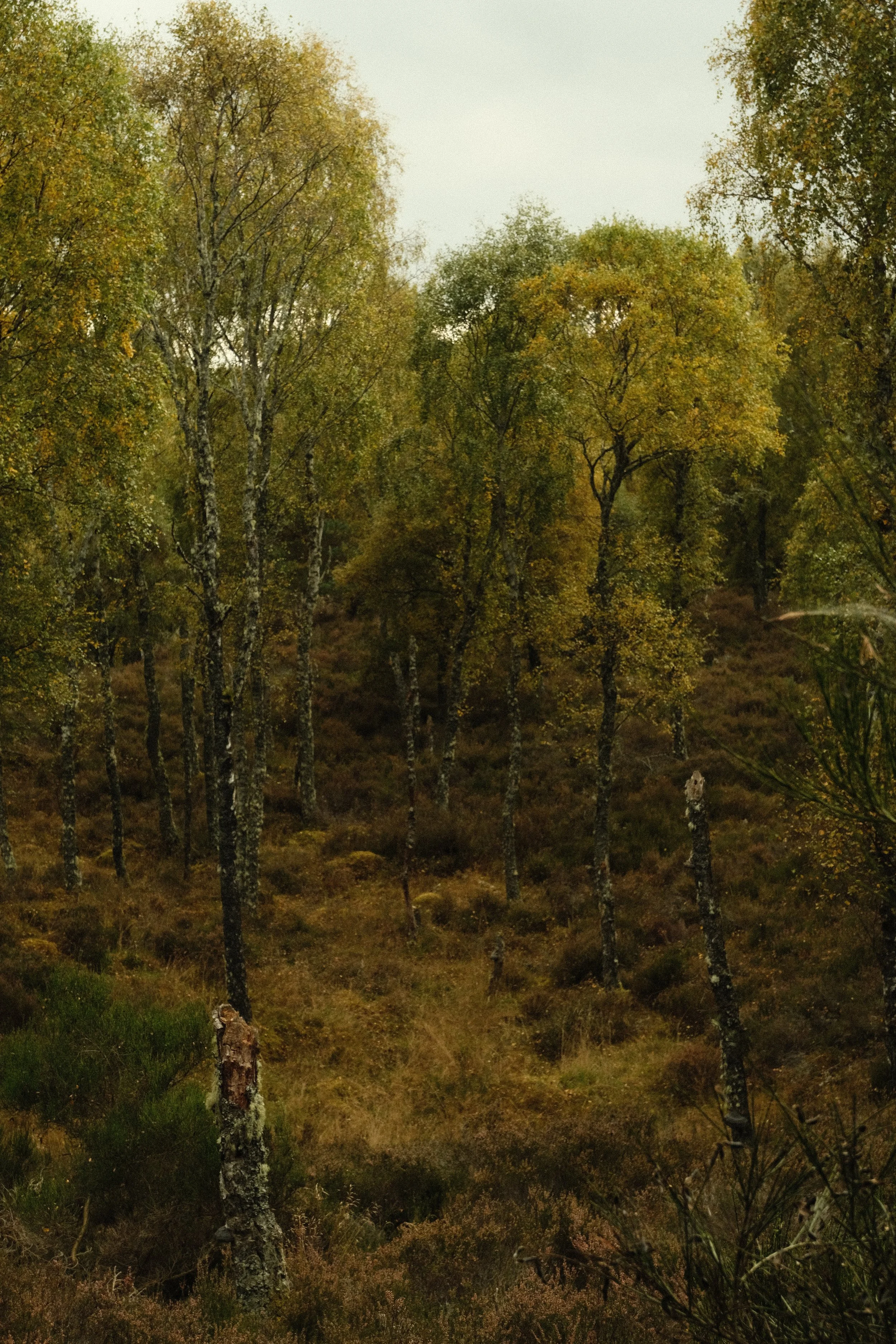 DSCF1328.JPG