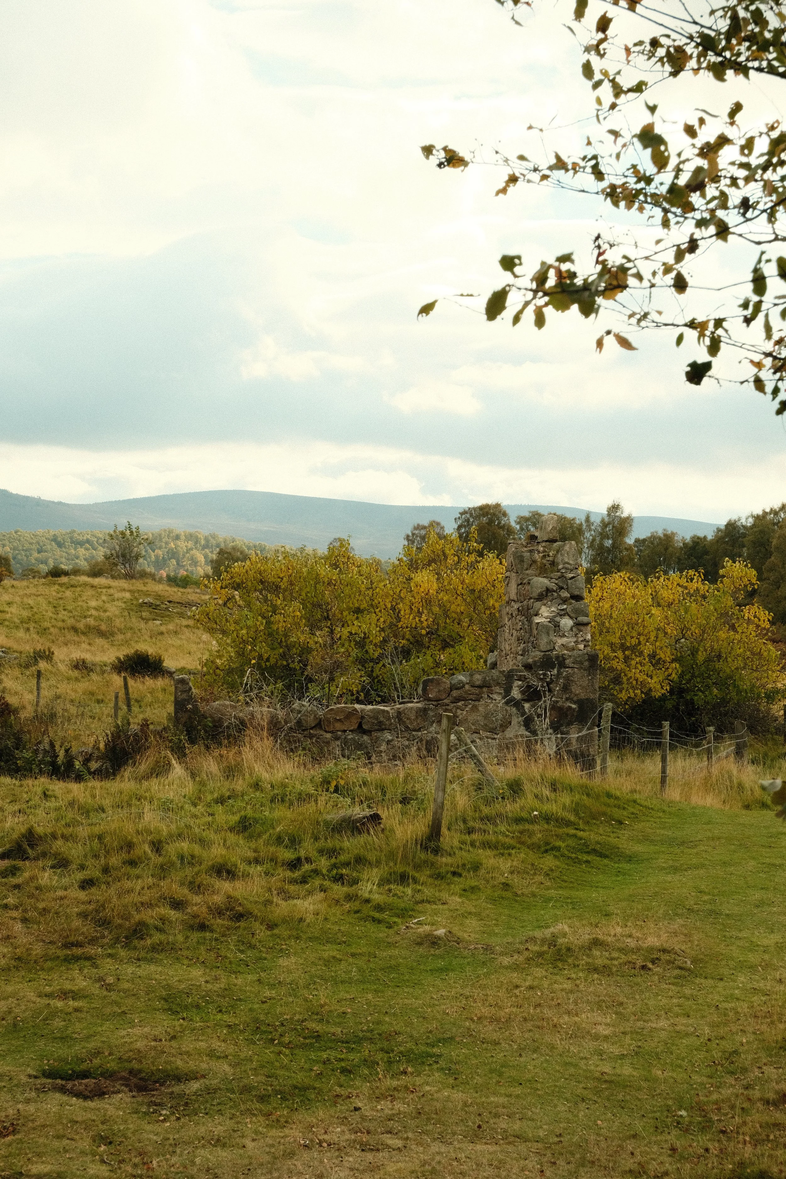 DSCF1343.JPG