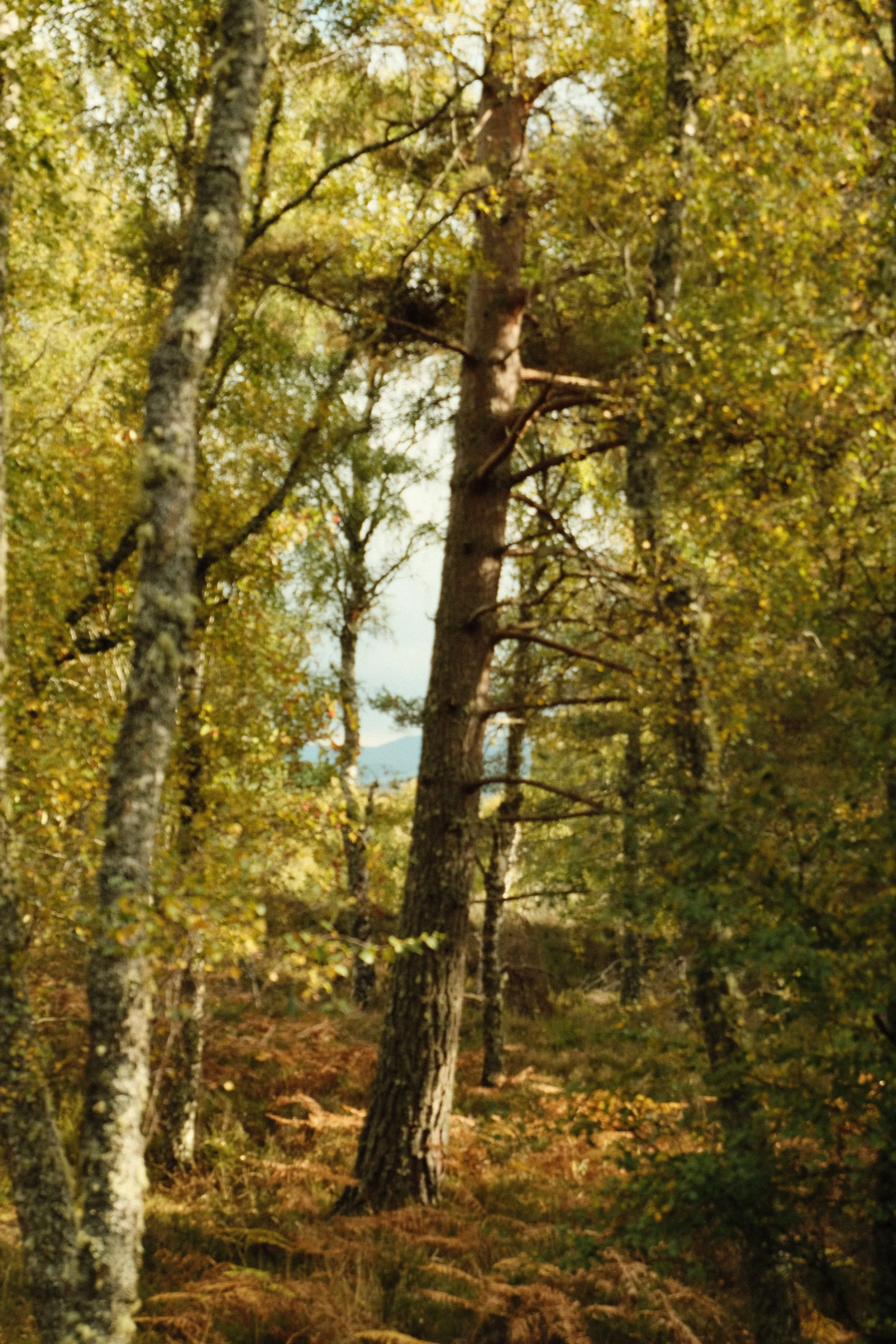 DSCF1311.JPG
