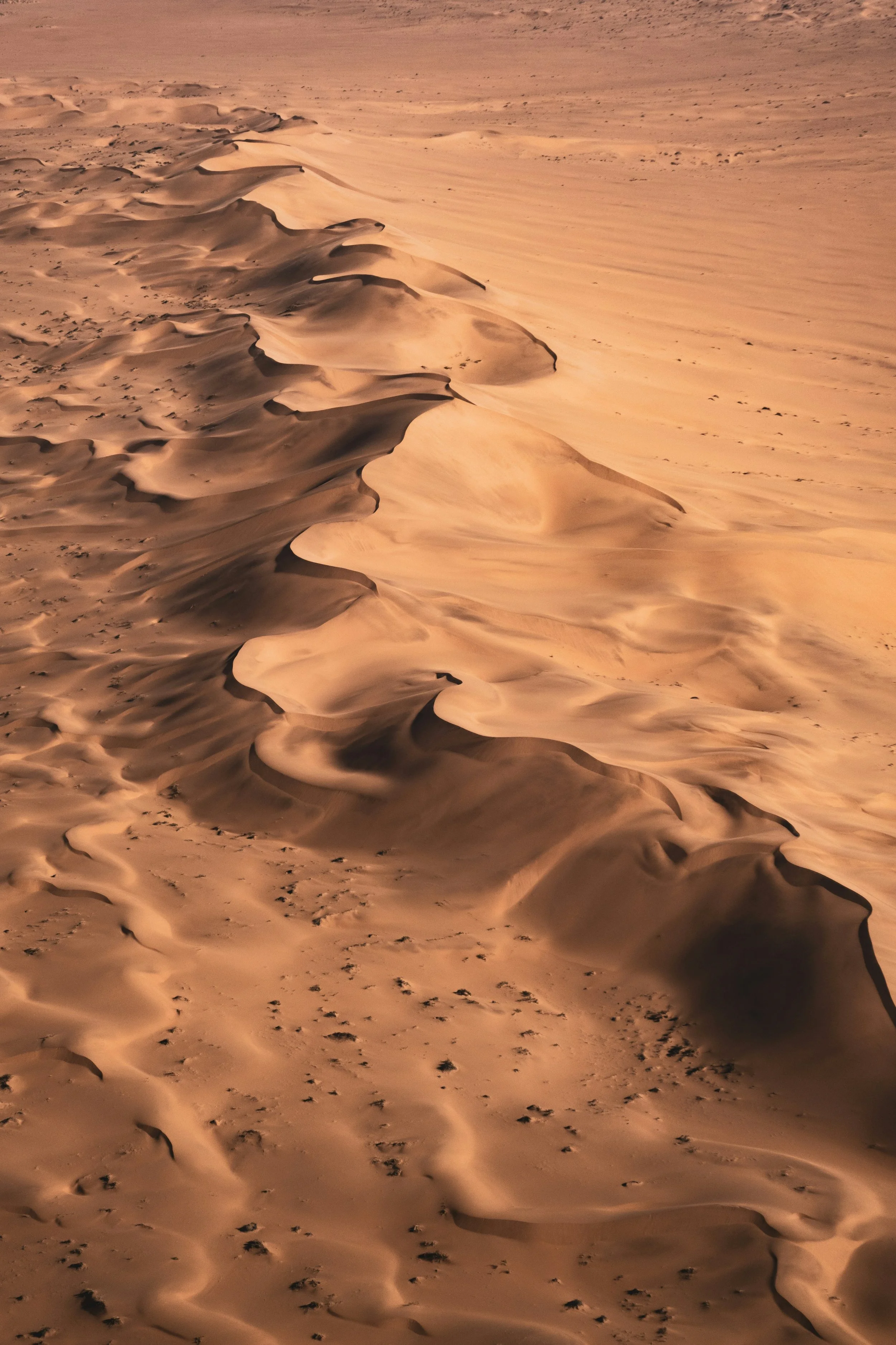Sand dunes in a desert, with wind-shaped ridges and footprints on the surface.