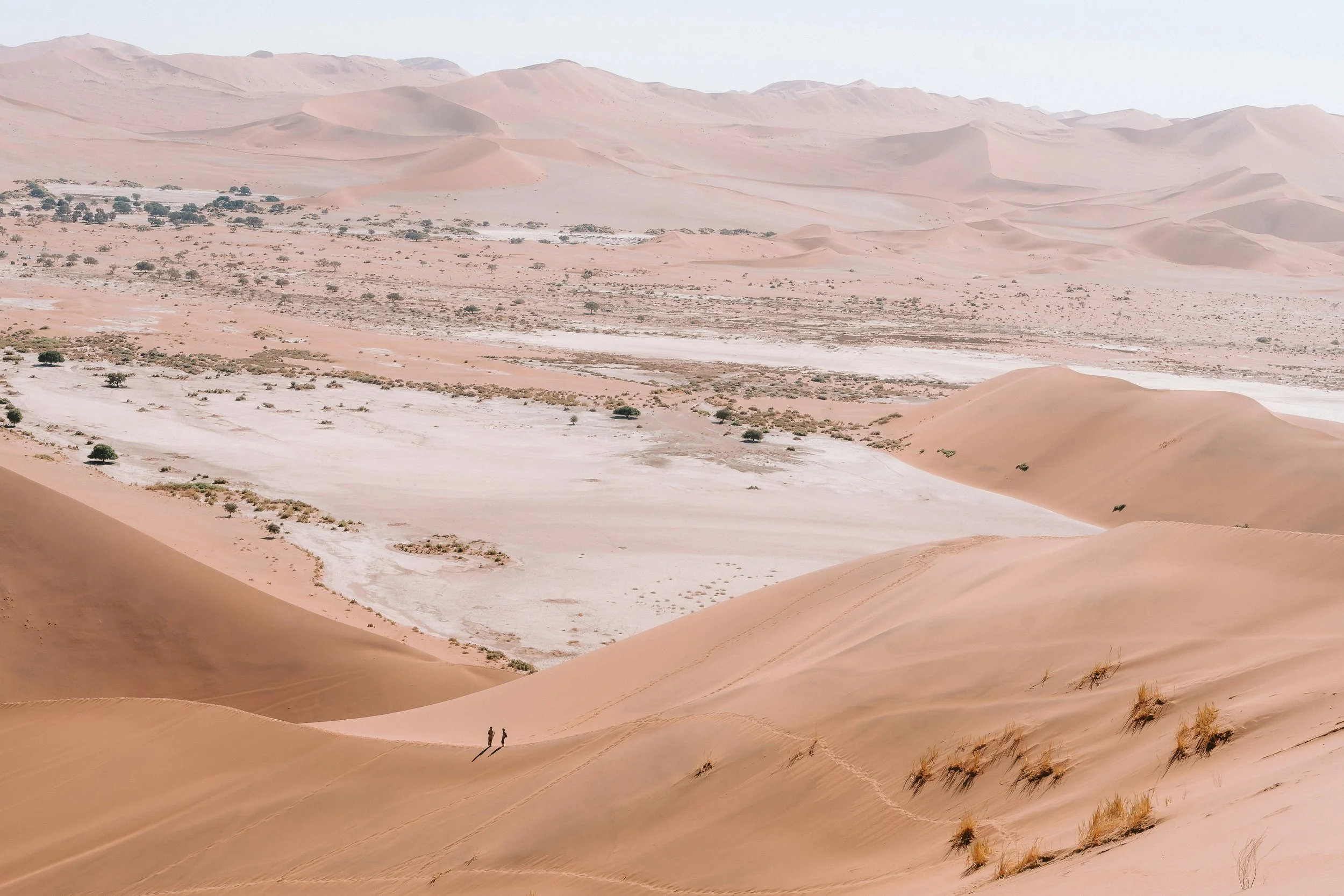 Two people walking on sand dunes in a desert with sparse vegetation and distant mountains.