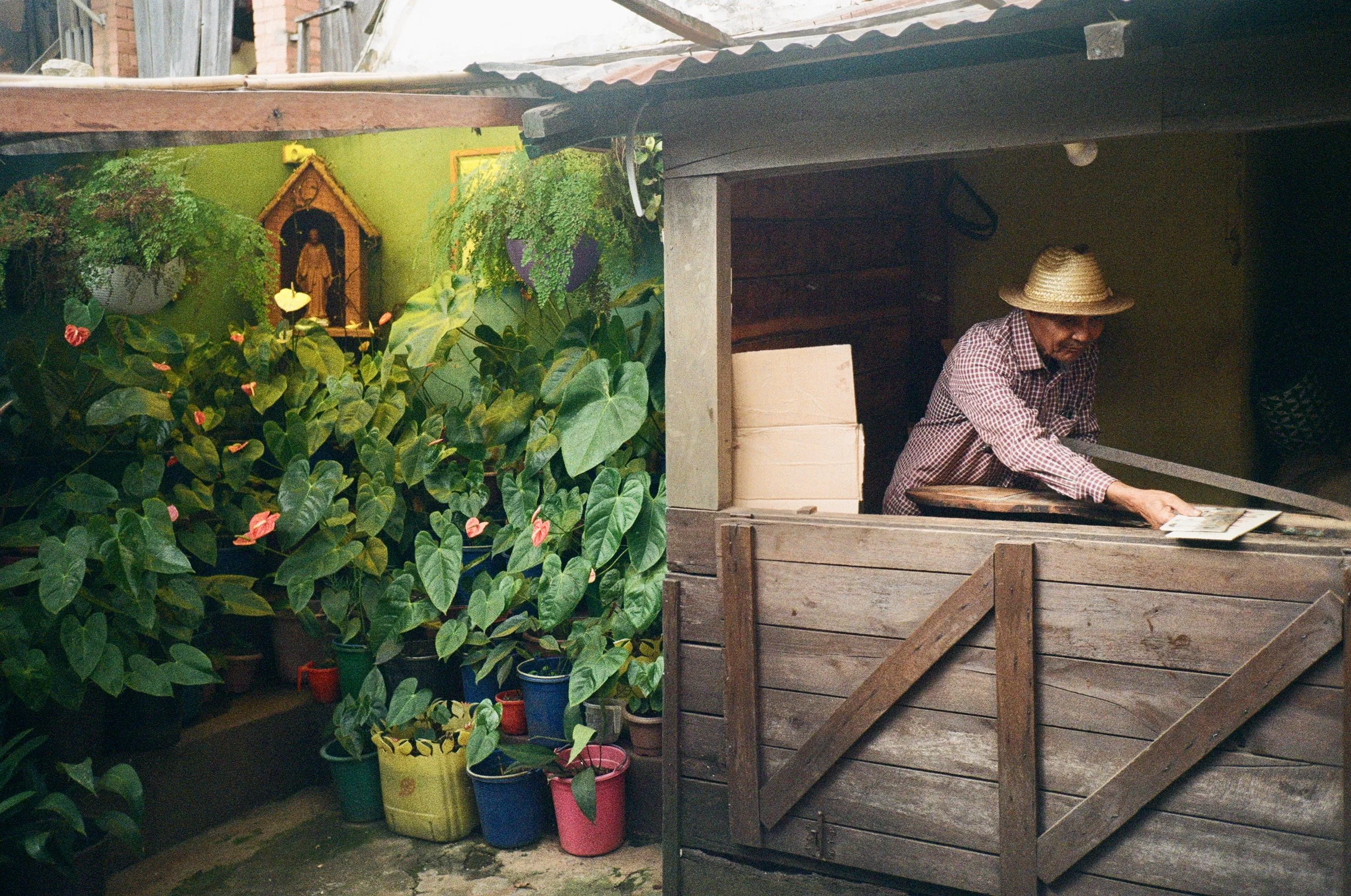 A man wearing a checkered shirt and straw hat working behind a wooden counter in a small outdoor shop with potted plants and statues, and a green wall.